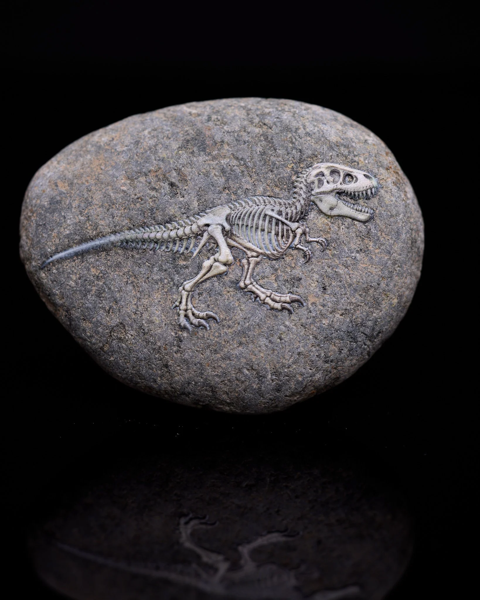 Raptor fossil-inspired rock art — detailed skeletal artwork on natural stone.