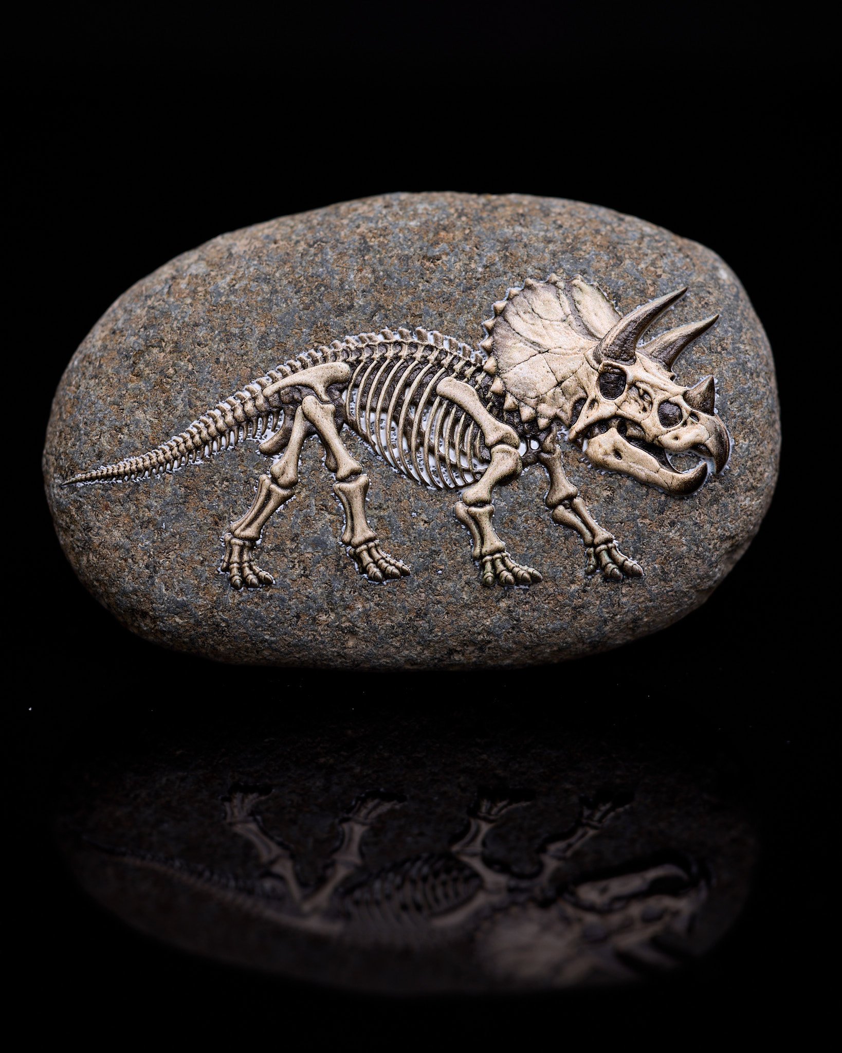 Triceratops fossil-inspired rock art — a little prehistoric wonder.