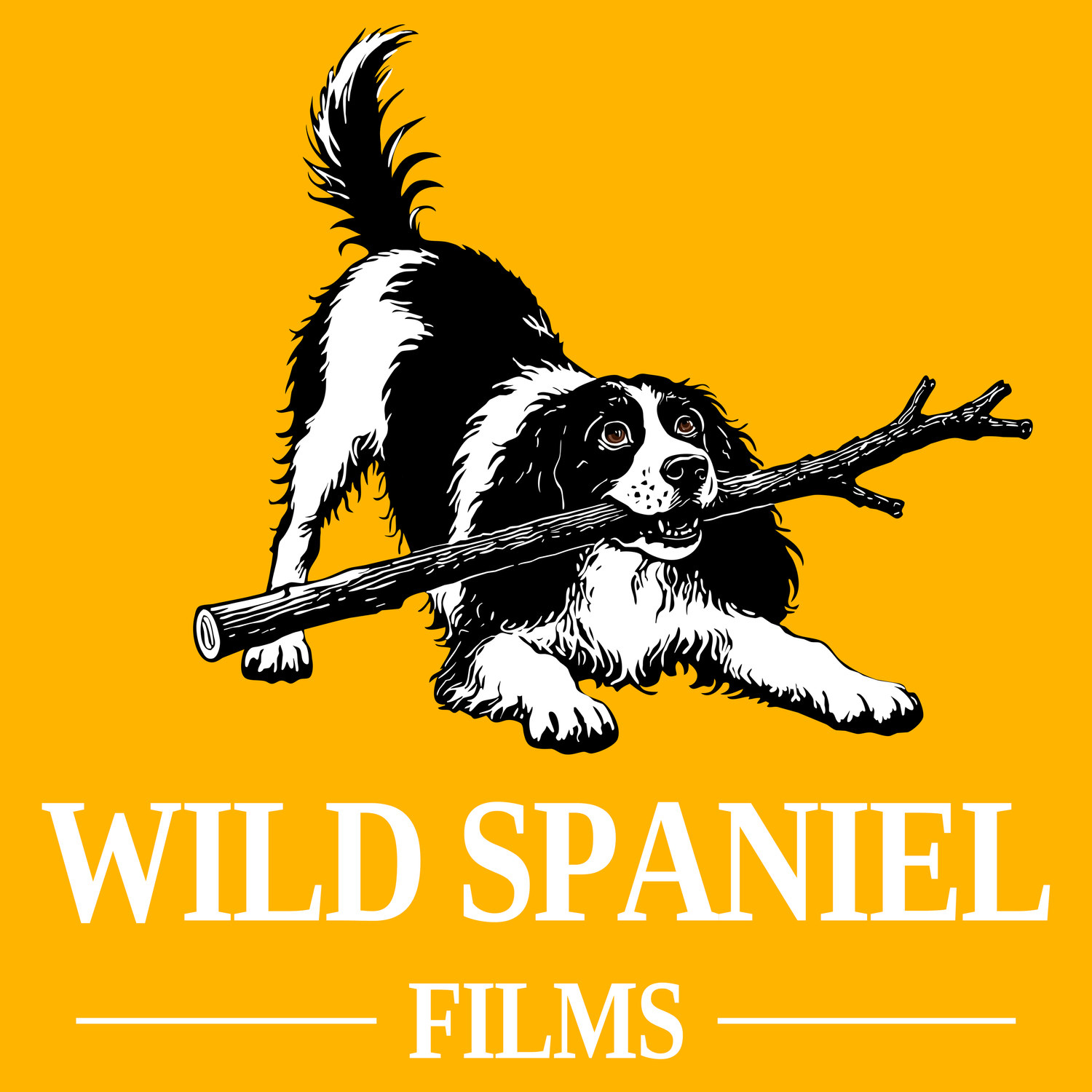 Wild Spaniel Films