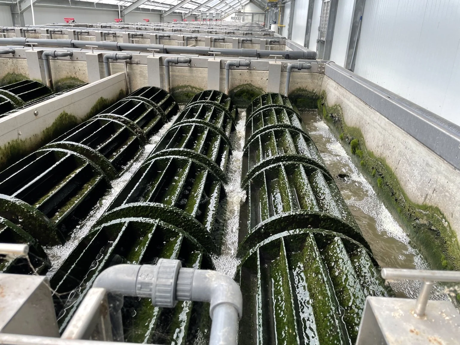 Industrial water treatment system with large using algae to biologically treat wastewater, located in new york.