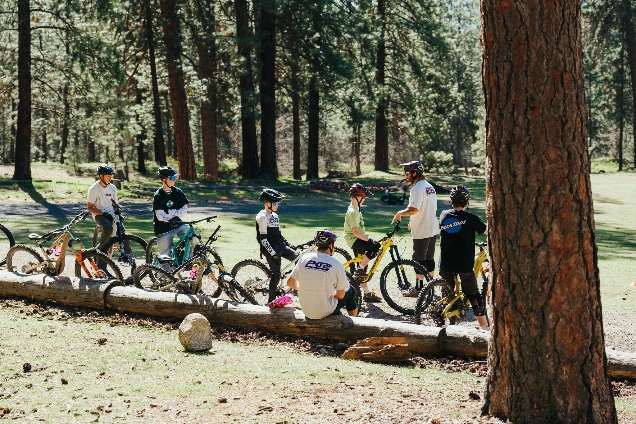 Group of children and an adult with helmets and bikes in a forested park, some sitting on a log and others standing with bikes, surrounded by tall trees and green grass.