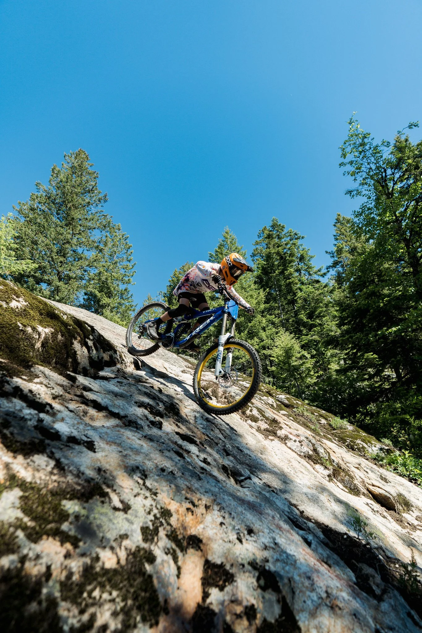 A person riding a mountain bike down a rocky, wooded trail under a clear blue sky.