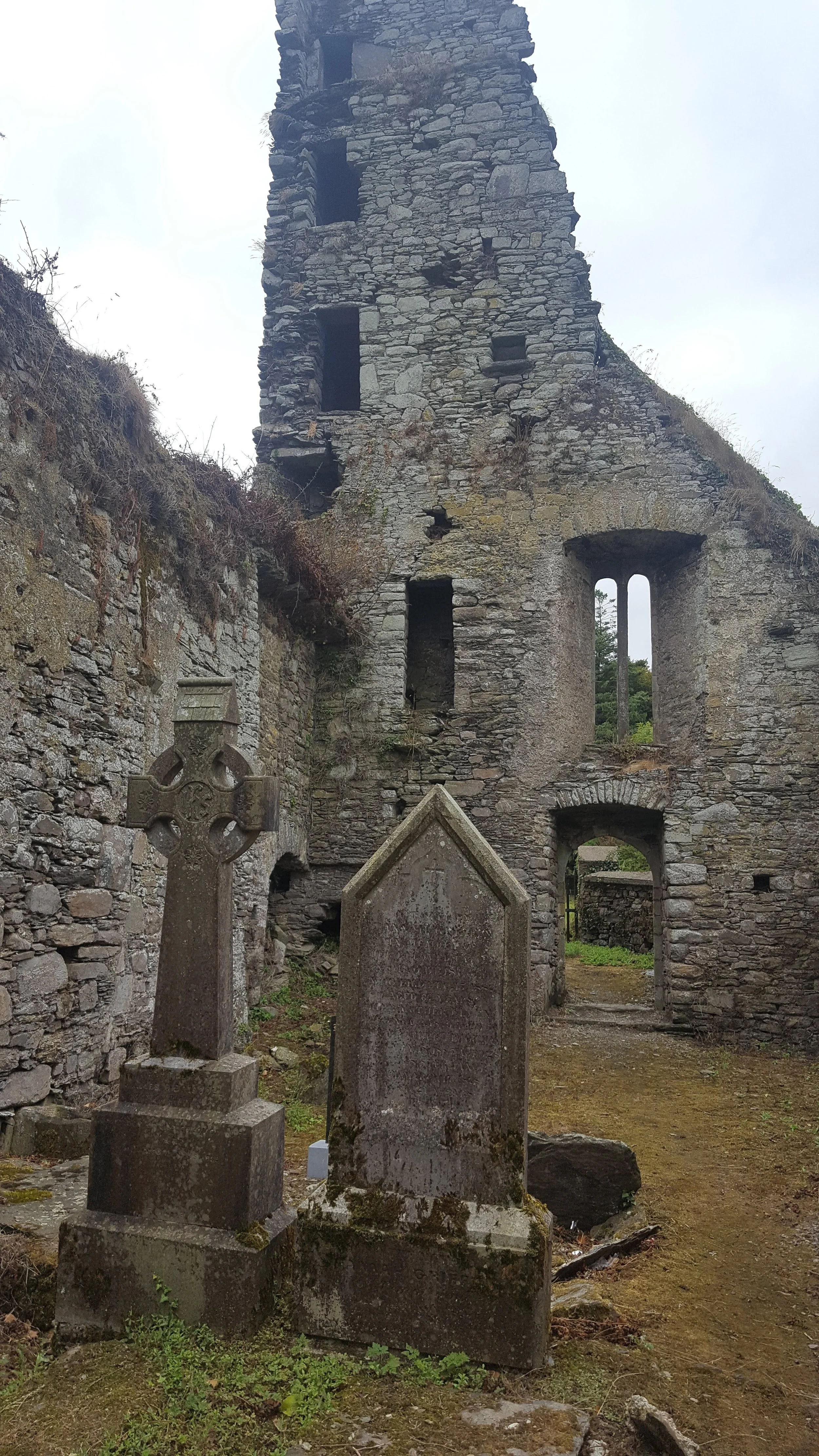 An old stone church ruins with several gravestones in the foreground, surrounded by overgrown grass and weeds, under a cloudy sky. Beautiful ruins and abbeys. Old Irish castles for exploring.