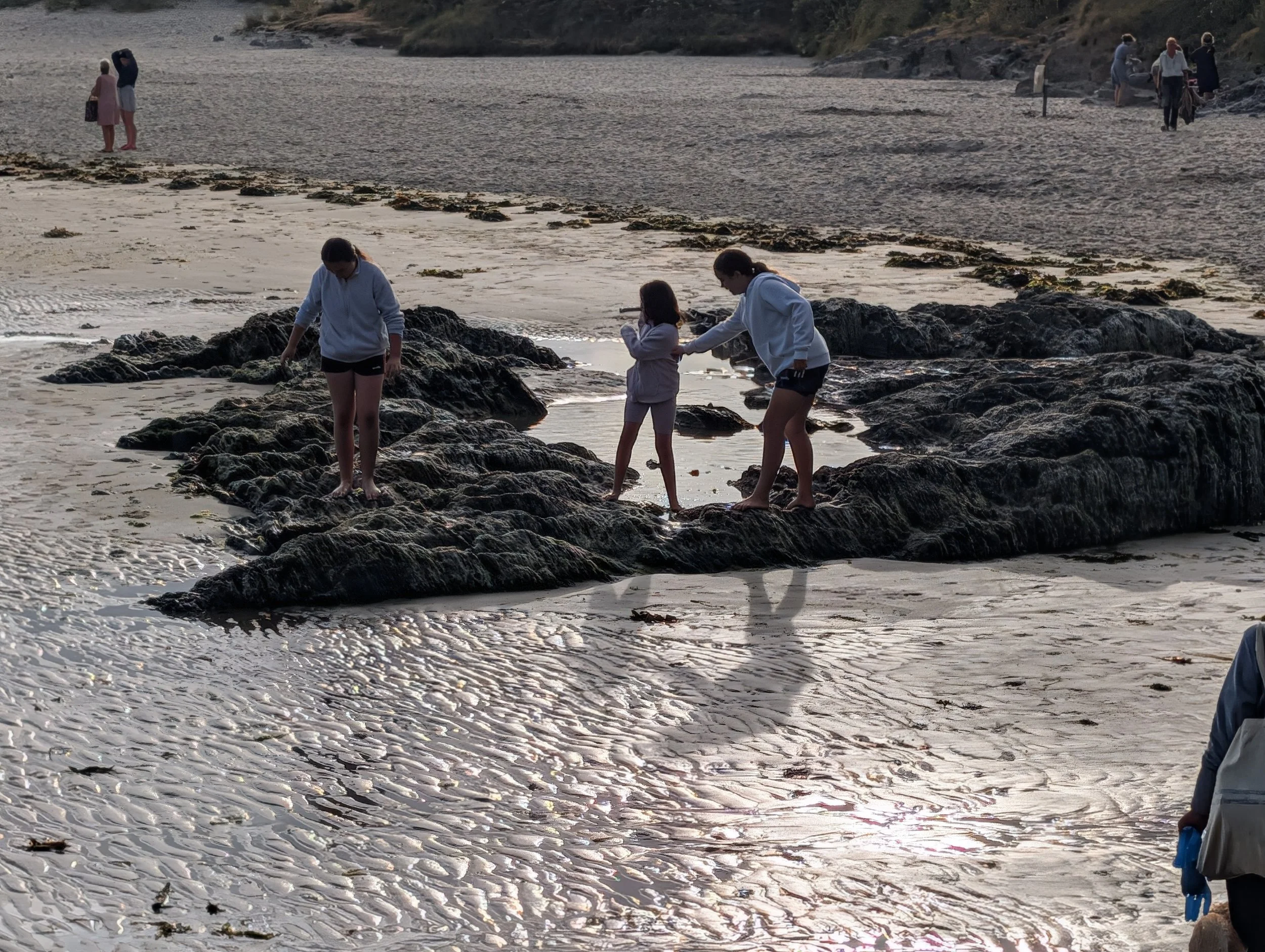 People exploring rocks and tide pools on a beach, with some walking on the sand and others examining the rocks and water, during sunset. Beutiful beaches for kids to explore. Sunbathing and ocean swimming.
