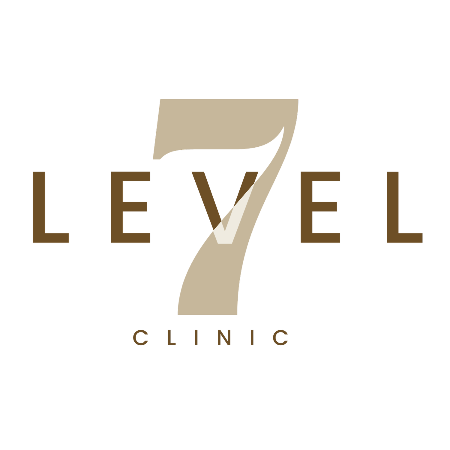 Level 7 Clinic