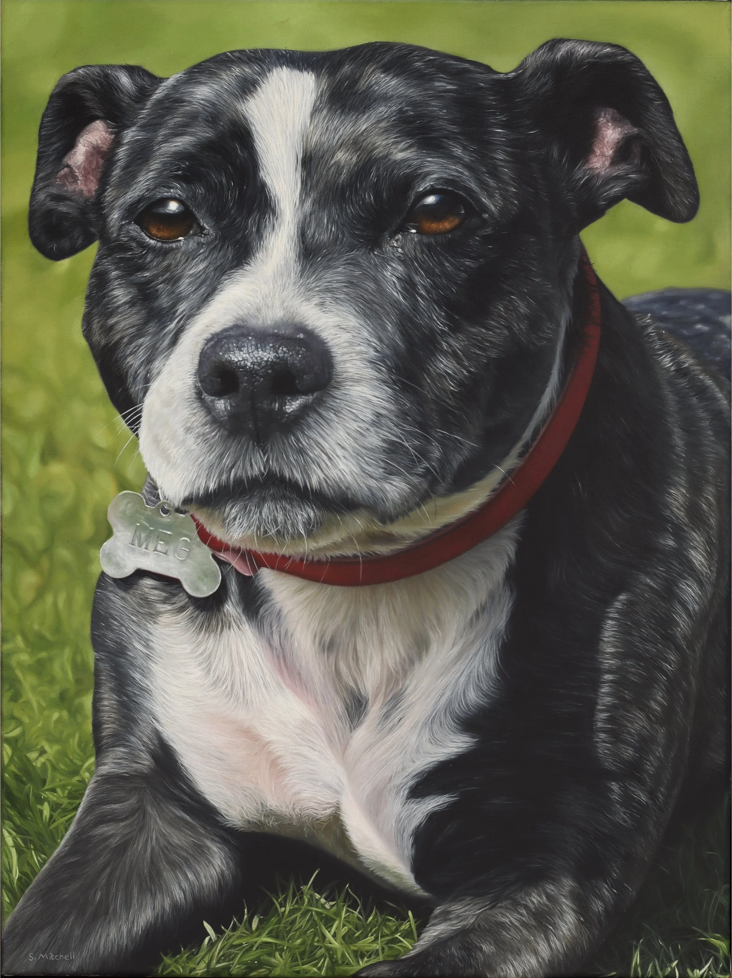 A detailed realistic painting of a black and white dog with brown eyes, sitting on green grass with a blurred green background.
