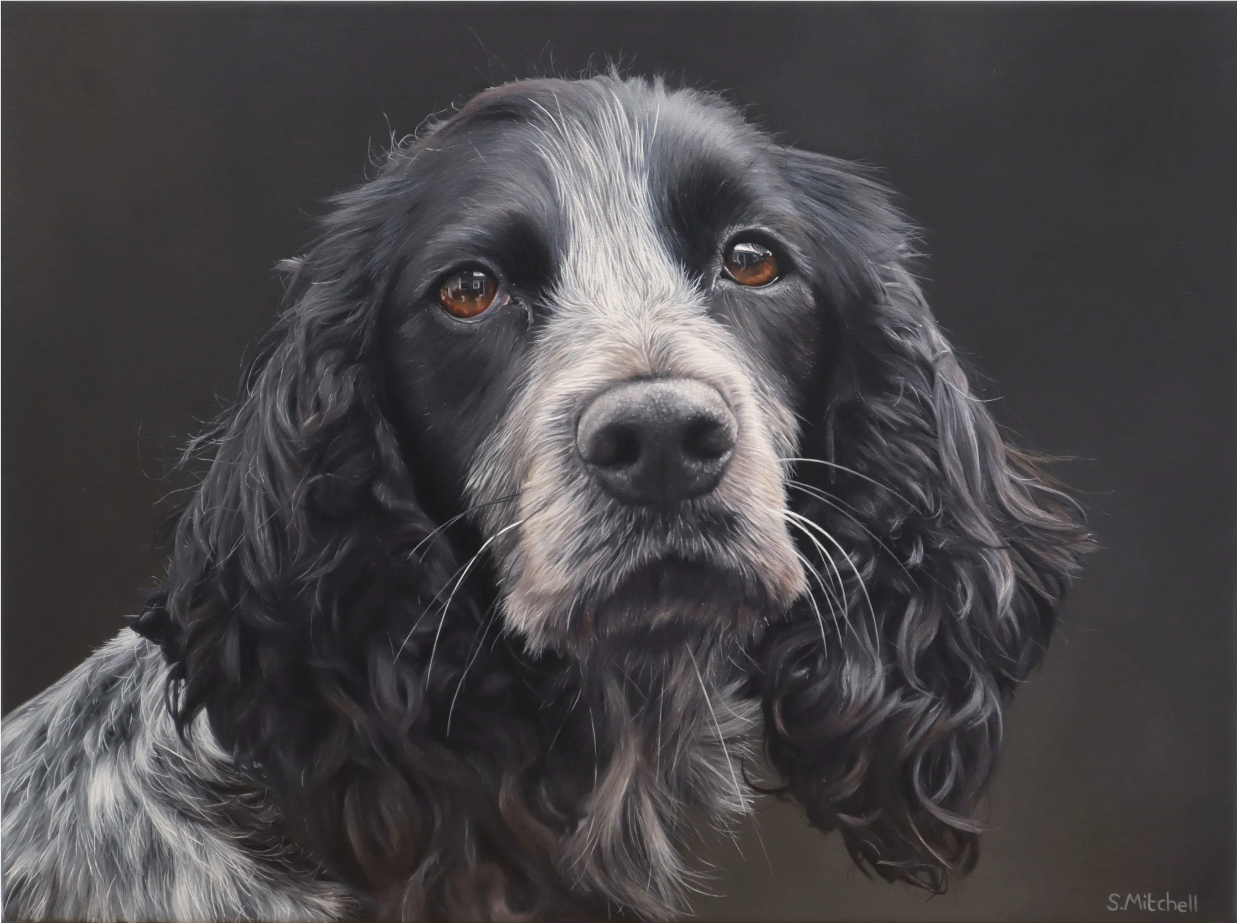 Close-up painting of a black and white long-haired dog with brown eyes, against a dark background.