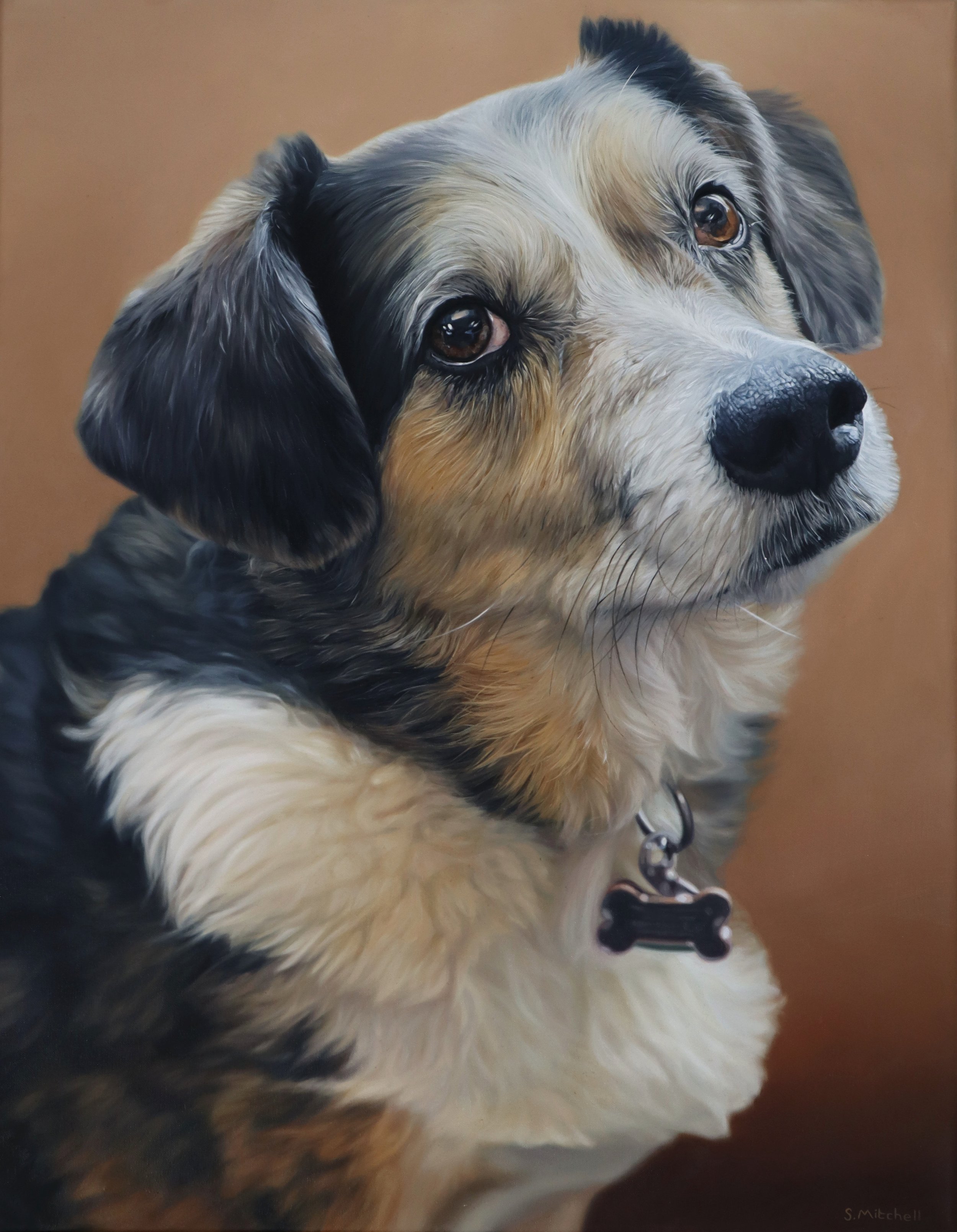 Close-up of a dog with black, gray, white, and tan fur, brown eyes, and a black nose, with a brown background.