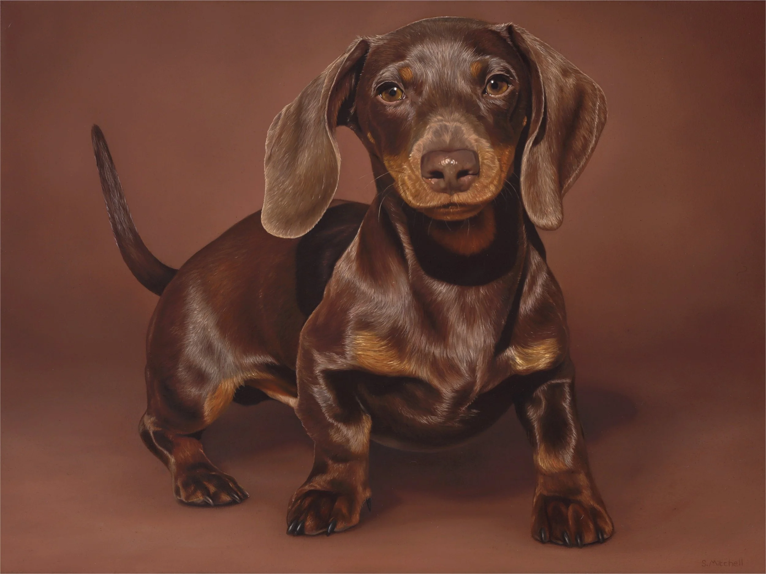 Realistic painting of a brown dachshund dog standing on a brown background.