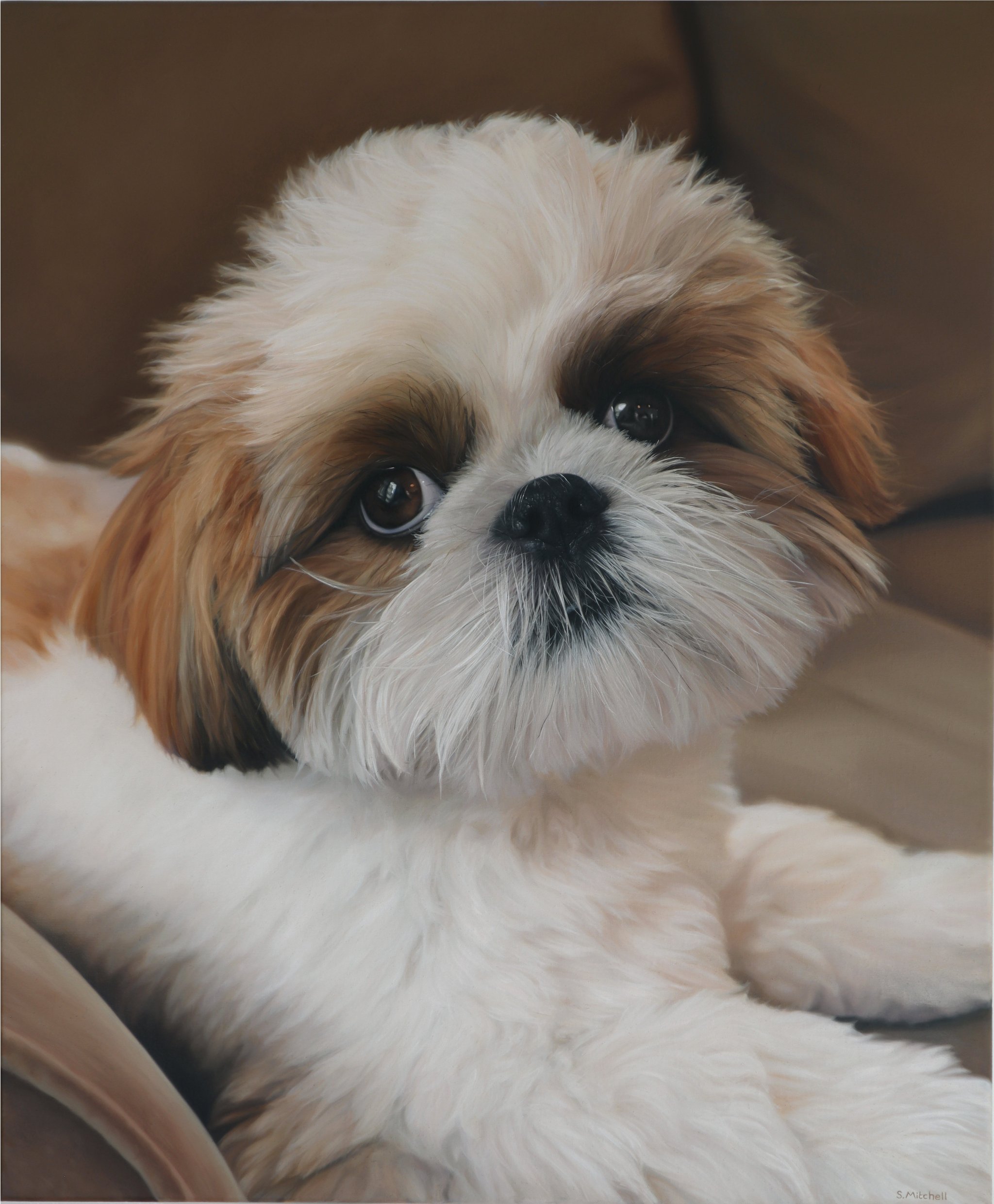 Close-up of a fluffy puppy's face with big eyes, mostly white fur with brown spots, lying on a soft surface.