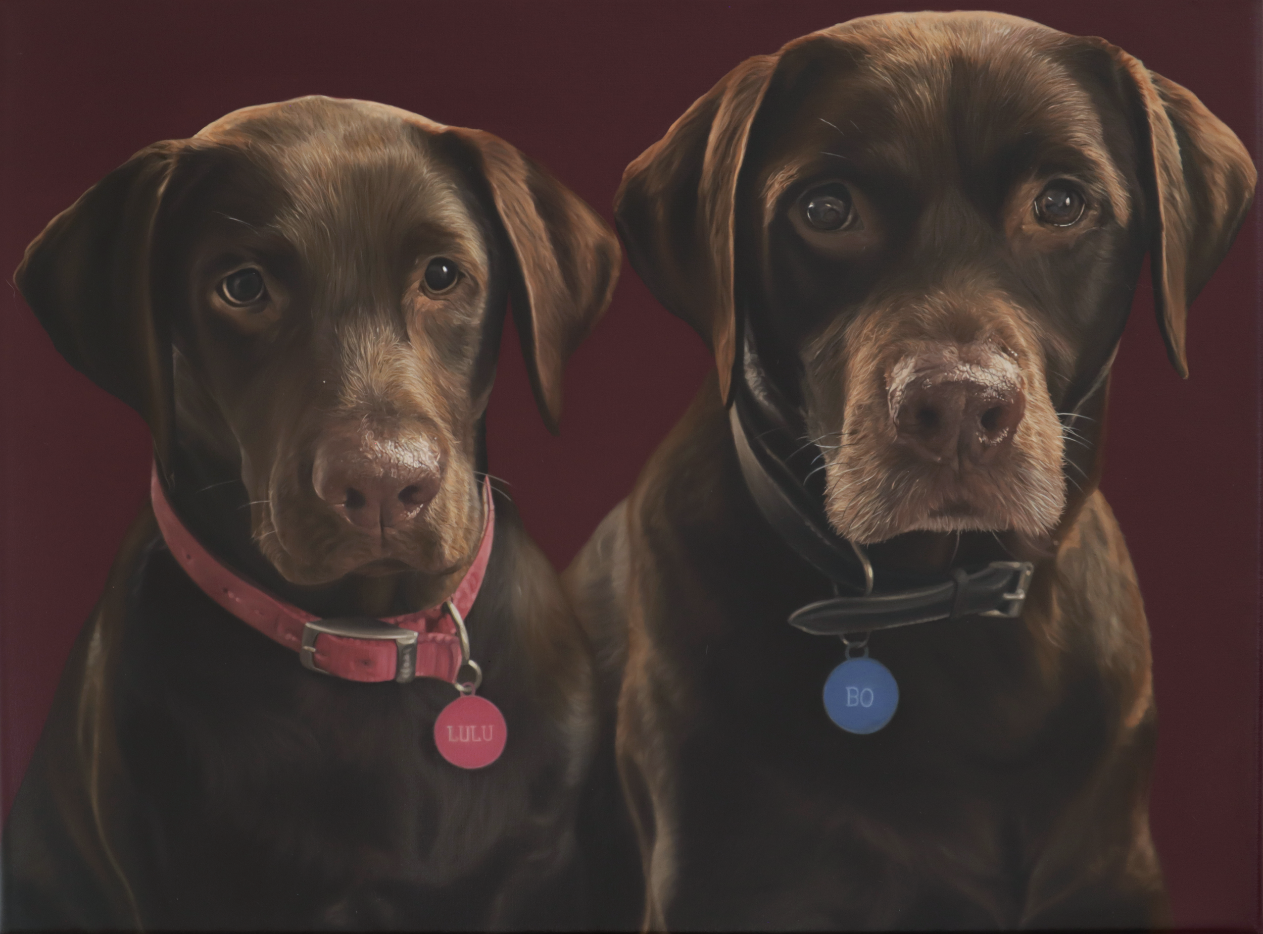 Two brown dogs with floppy ears and expressive eyes, wearing collar tags with names Lulu and Bo, sitting against a dark background.
