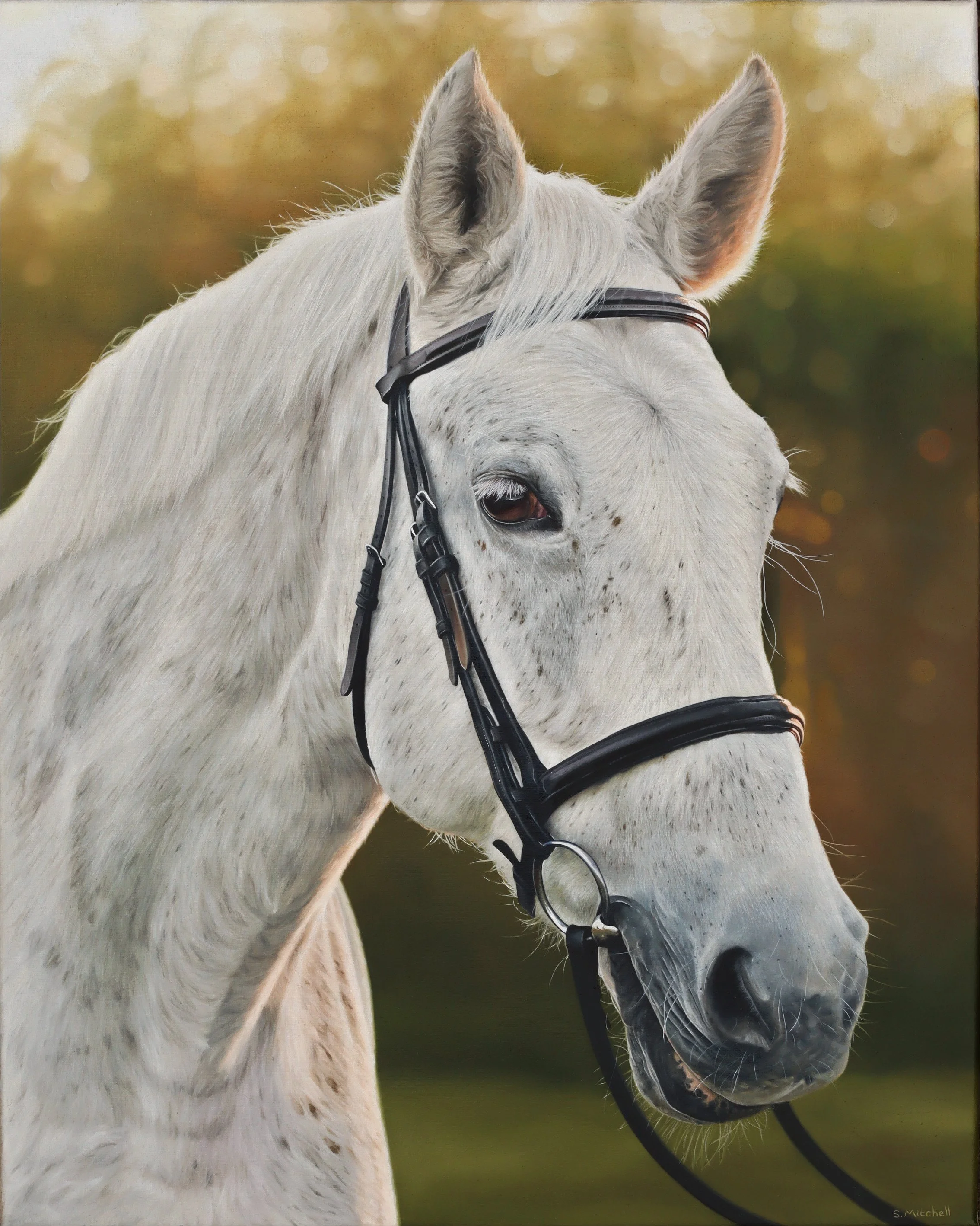 A white horse with a black bridle standing outdoors during daytime, with a blurry background of yellow and green foliage.