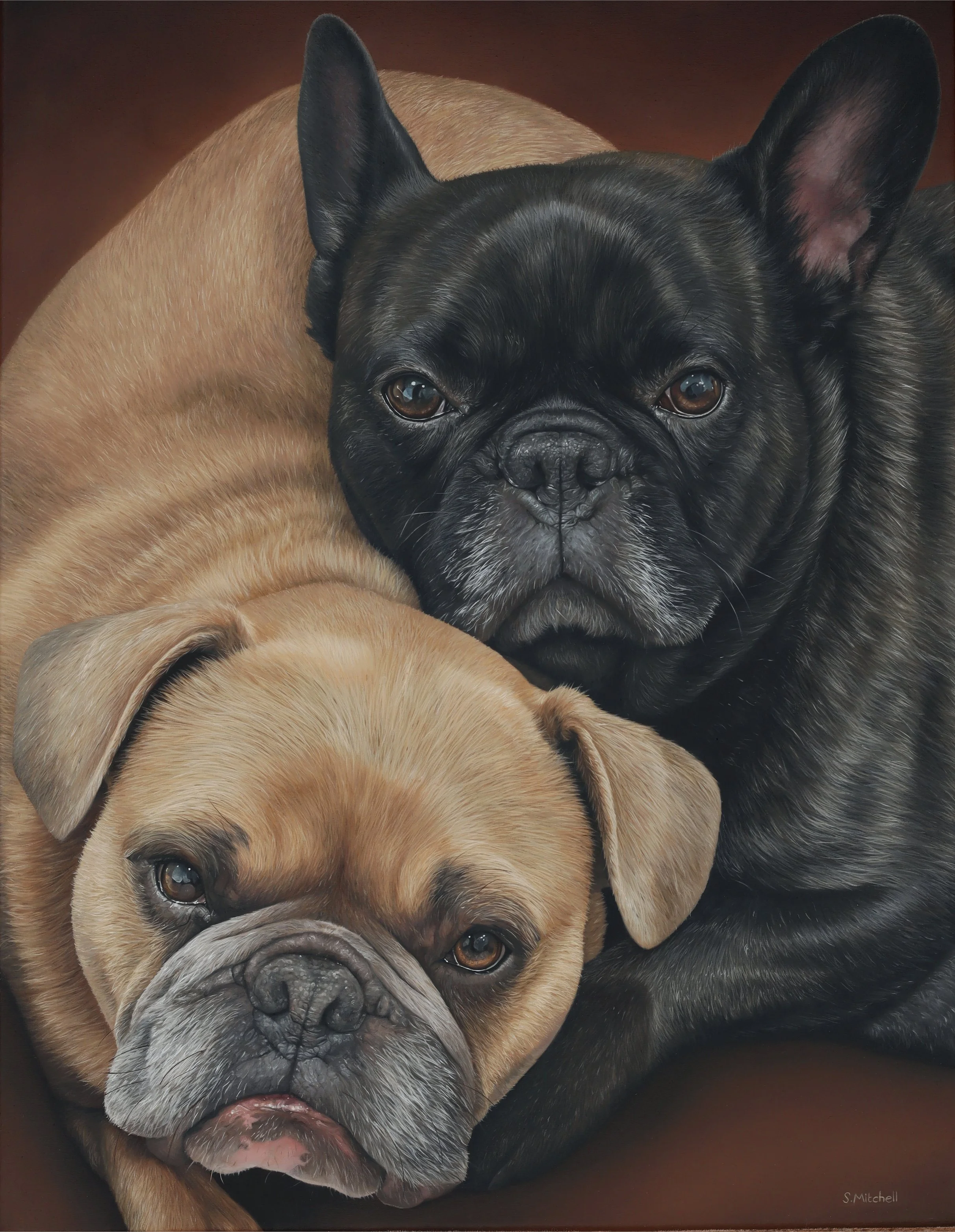 Close-up of two French bulldogs, one tan-colored and the other black, with their faces pressed close together on a dark background.