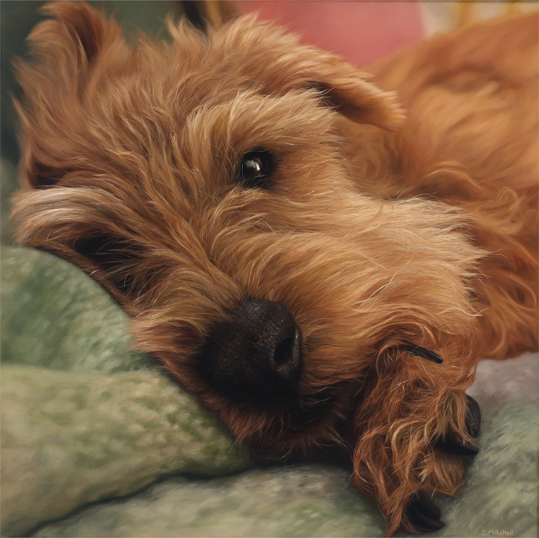 Close-up of a sleeping golden retriever dog lying down on a soft surface, with its head resting on its paws and fur in shades of gold and light brown.