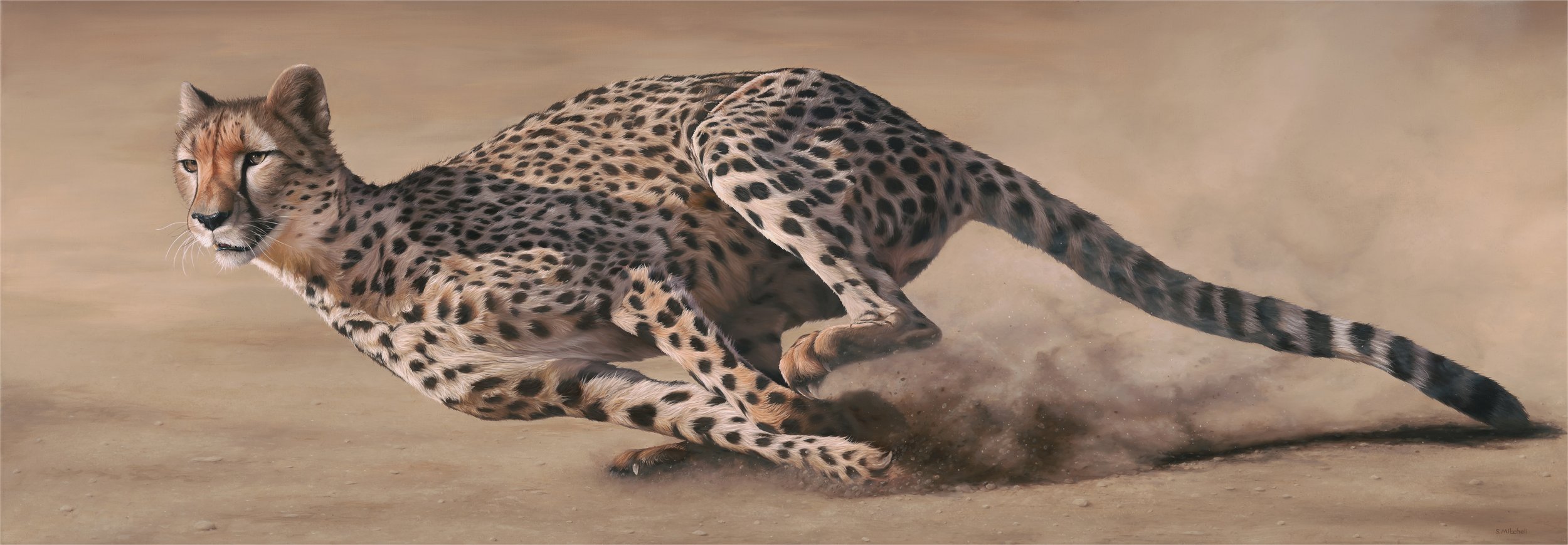 A cheetah running quickly on a dusty ground.