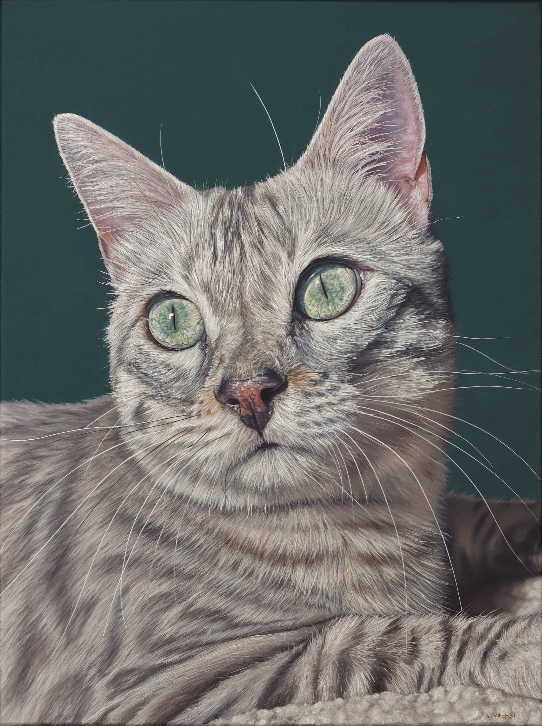 Close-up of a gray tabby cat with green eyes and pink nose, lying on a light-colored surface against a dark background.