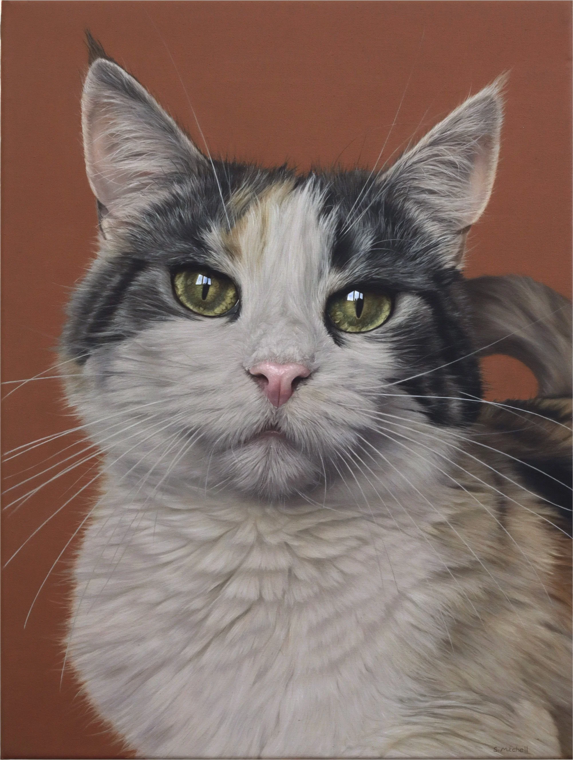 Close-up of a domestic cat with yellow-green eyes, white and gray fur, and a pink nose, against a brown background.