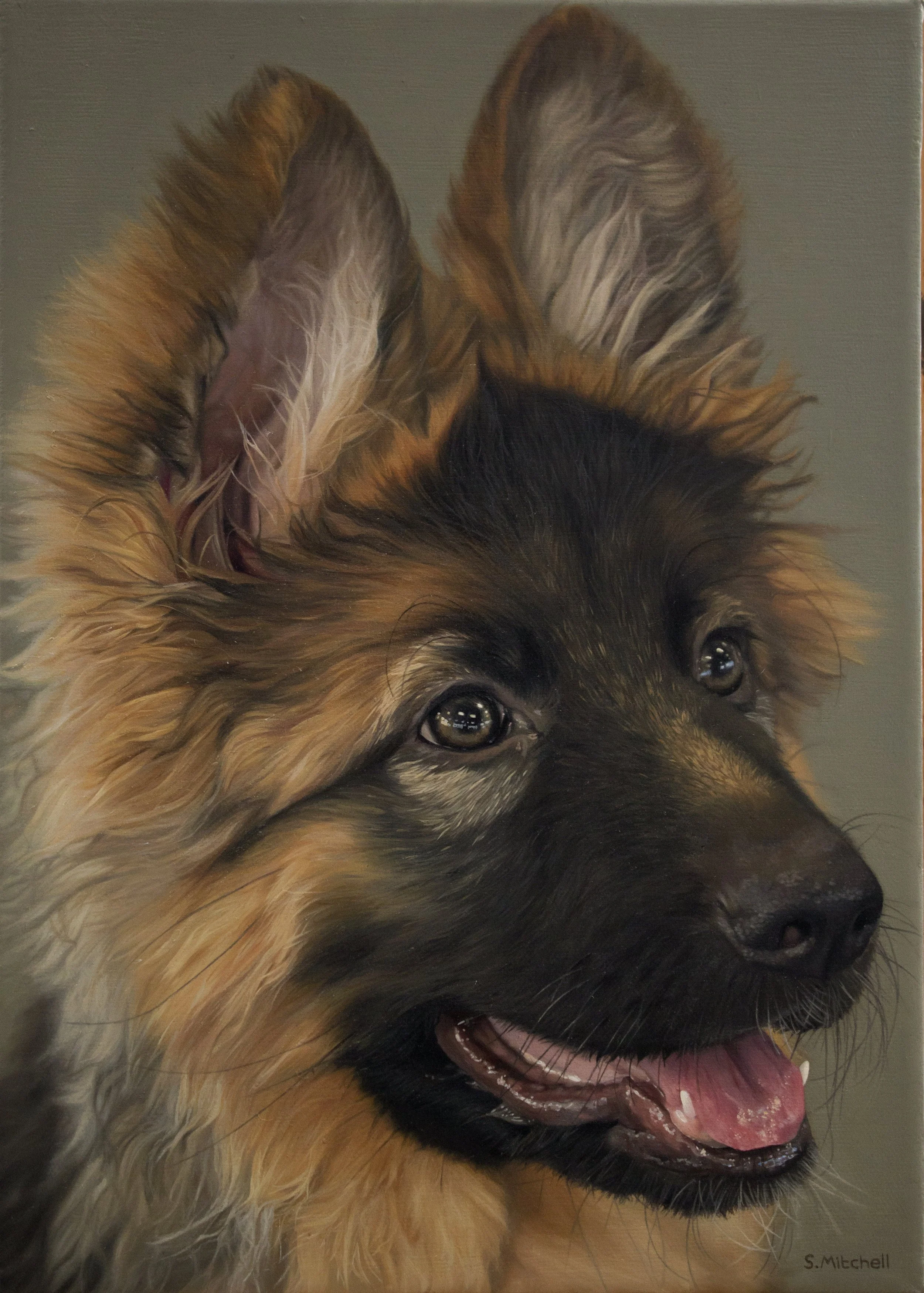 Close-up of a joyful German Shepherd dog with dark eyes and mouth open, tongue out, and ears perked up.