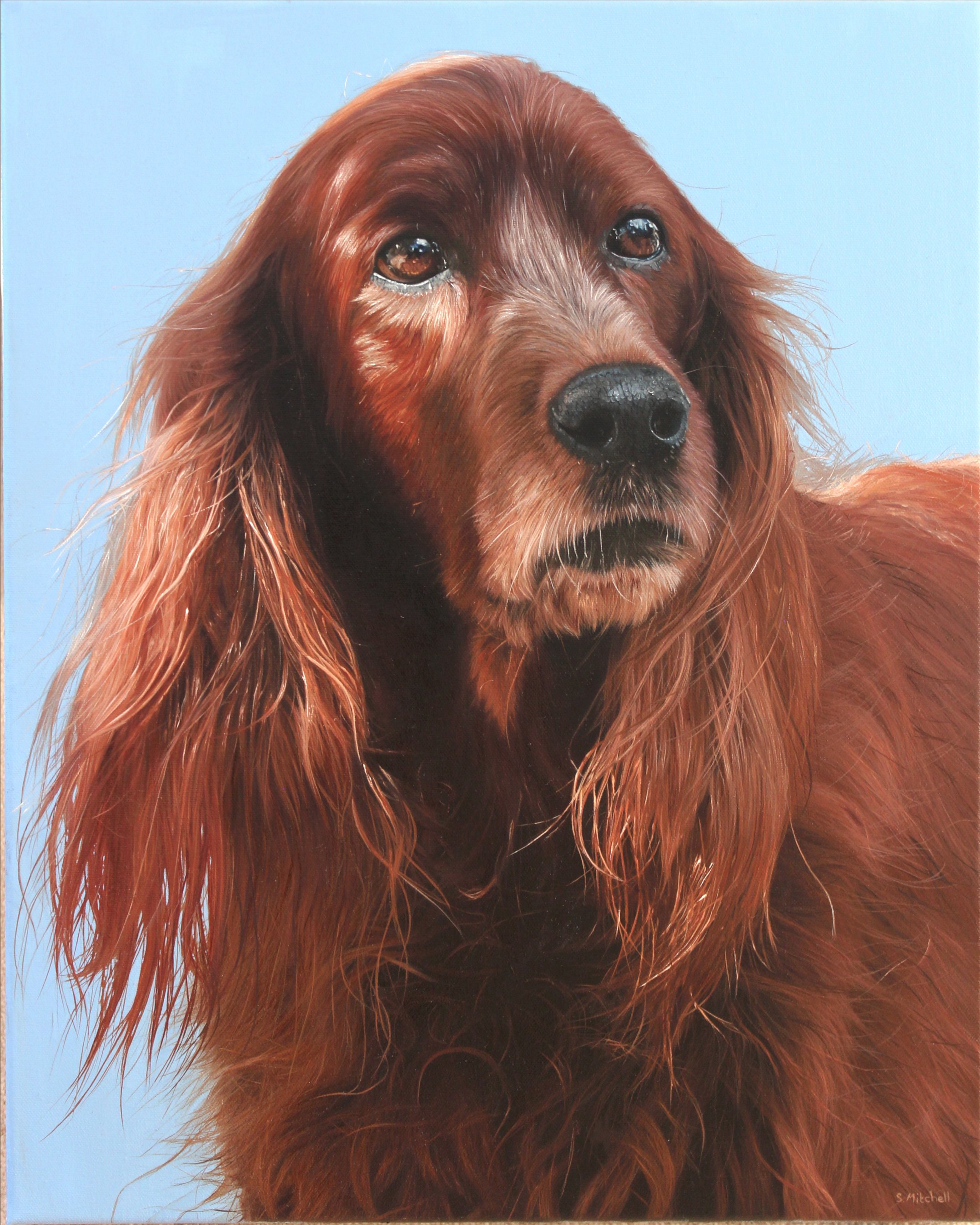 A realistic painting of a dog with long, reddish-brown fur and expressive, glossy eyes against a light blue background.