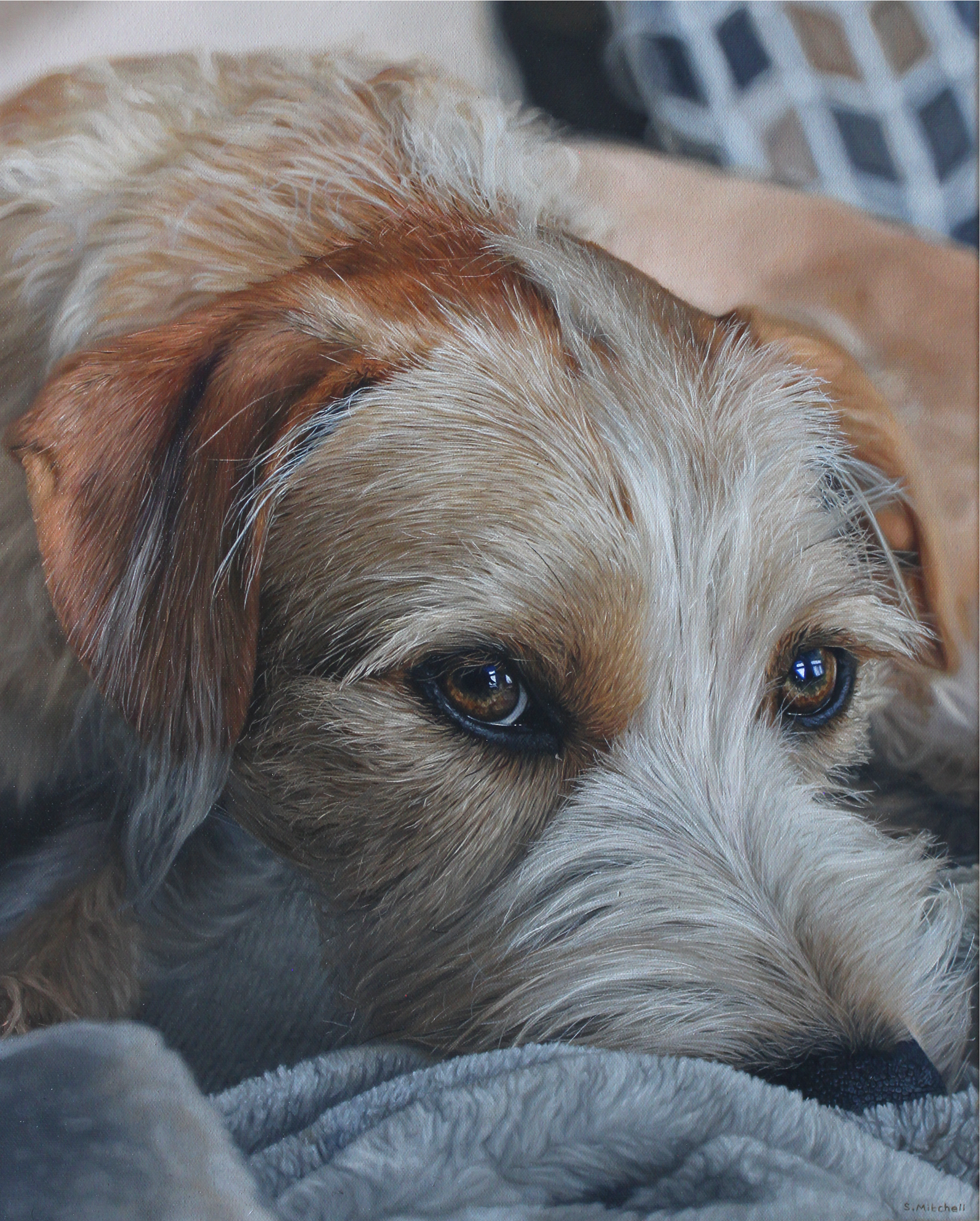 Close-up of a puppy's head, showing brown and white fur, and expressive brown eyes, lying on a soft, textured surface.