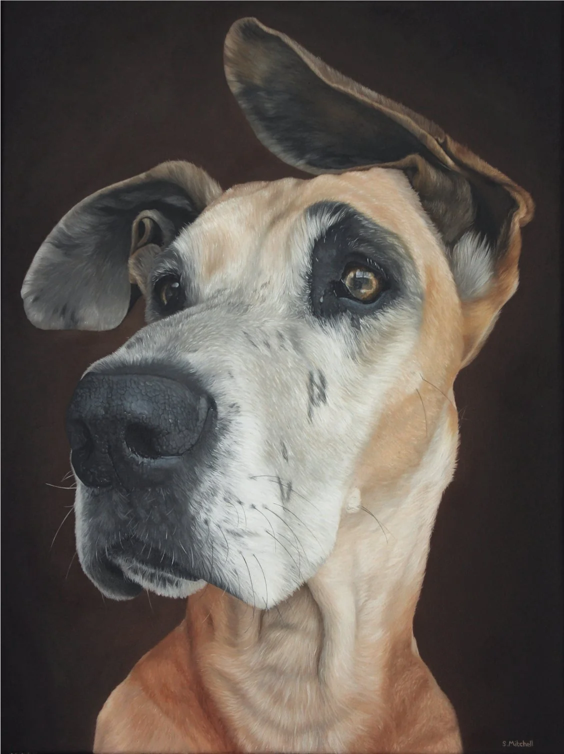 Close-up portrait of a large dog with tan and black fur, looking to the right, with dark background.