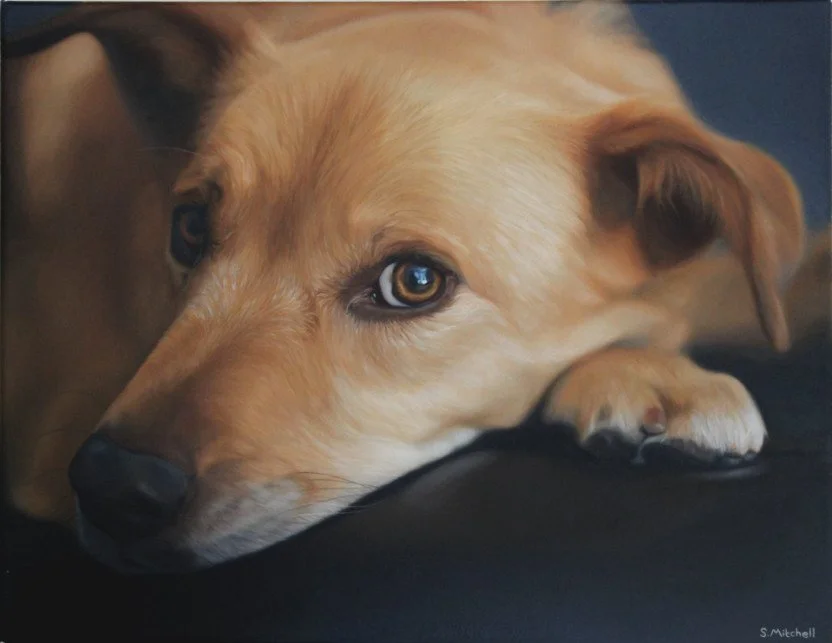 Close-up of a tan dog resting its head on a dark surface, looking directly at the camera with amber eyes.
