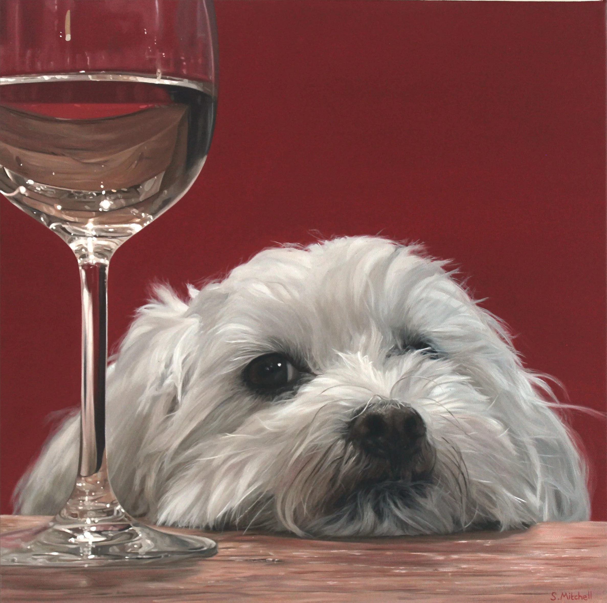 Close-up of a wine glass filled with white wine, partially visible against a red background, with a fluffy white and black puppy's face and eyes partially visible at the bottom of the image.