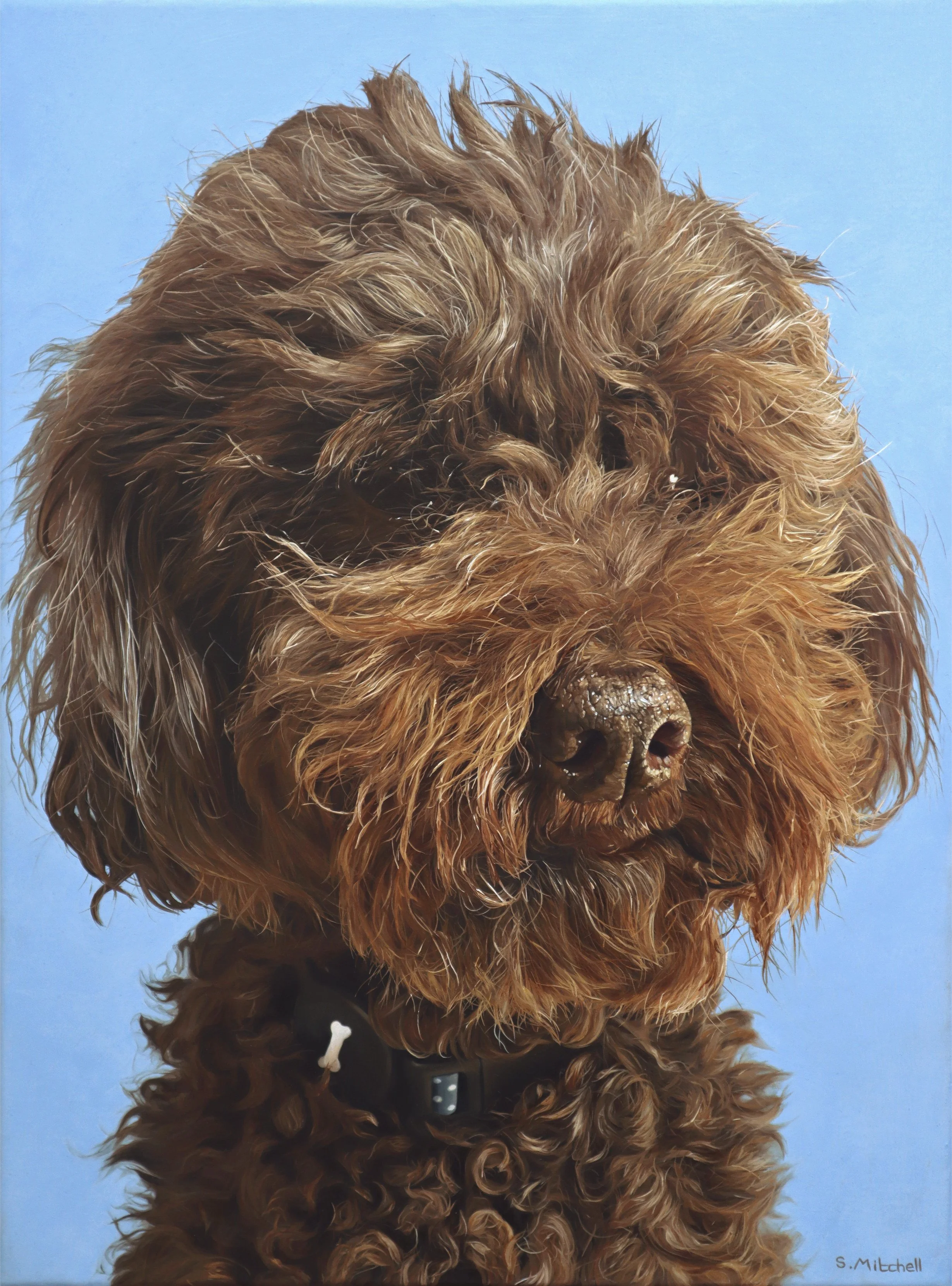 A close-up drawing of a curly-haired brown dog with a blue background. The dog is wearing a black collar with a bone-shaped tag.