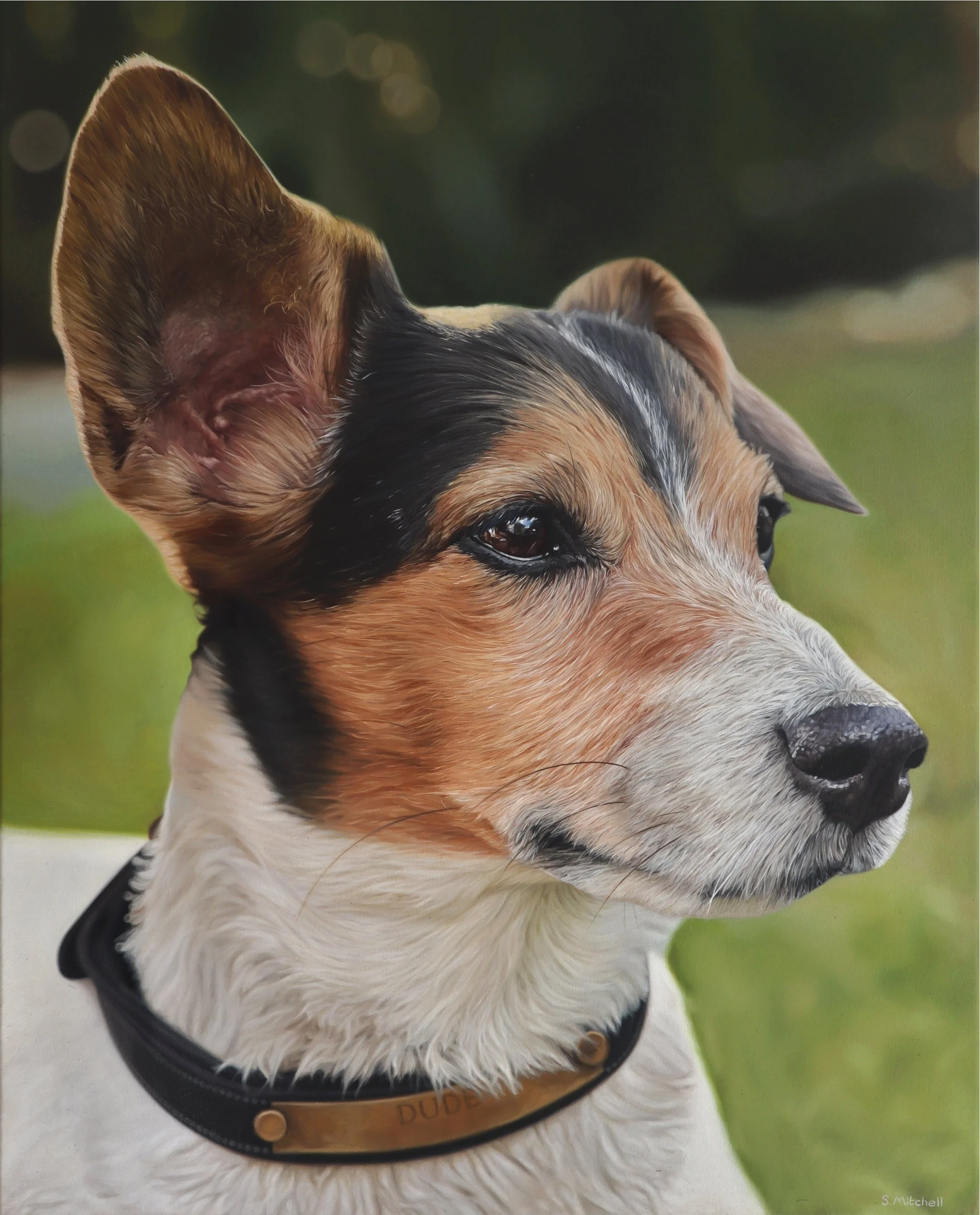 Close-up of a dog in a black and tan collar, with a blurred green background.