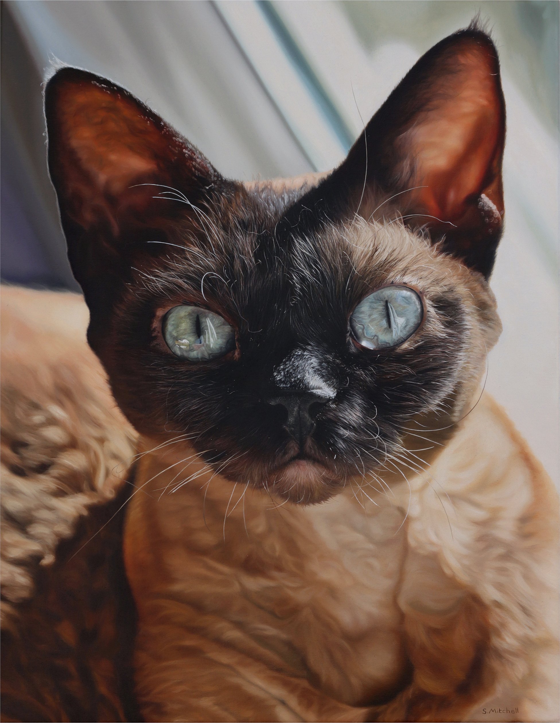 A close-up photograph of a cat with bright blue eyes, dark markings on its face, and brownish fur, lying on a soft surface.