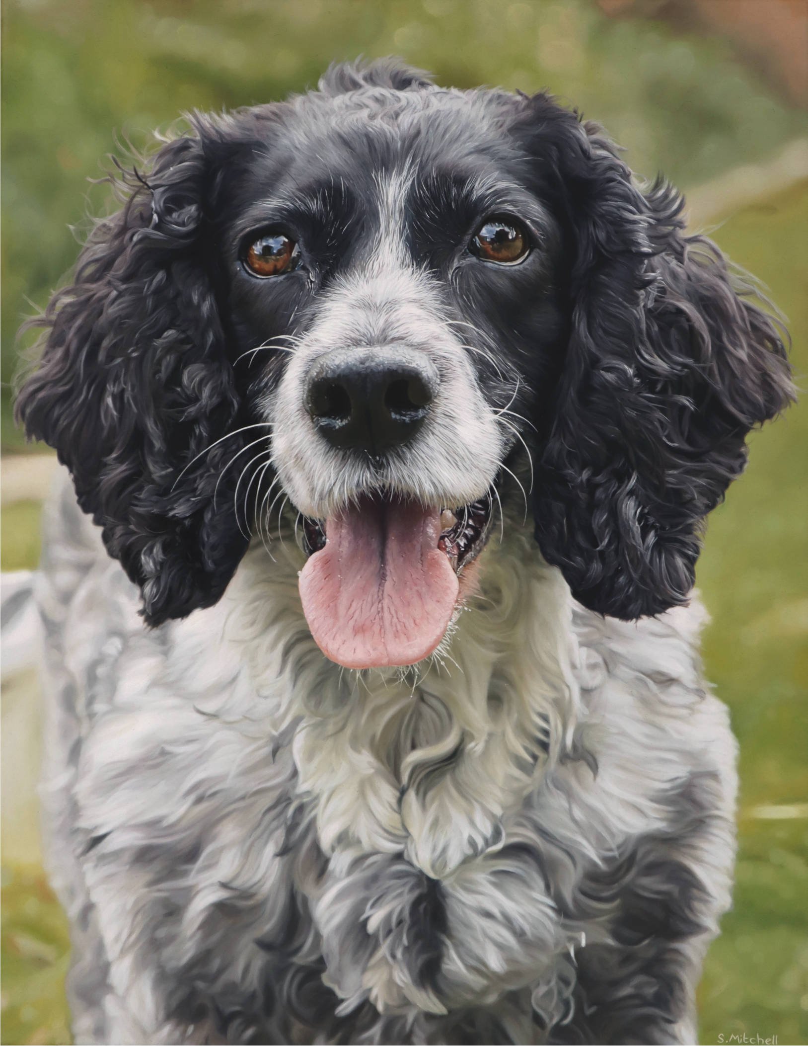 Close-up of a black and white curly-coated dog with long ears, brown eyes, and an open mouth showing its tongue, outdoors with a blurred green background.