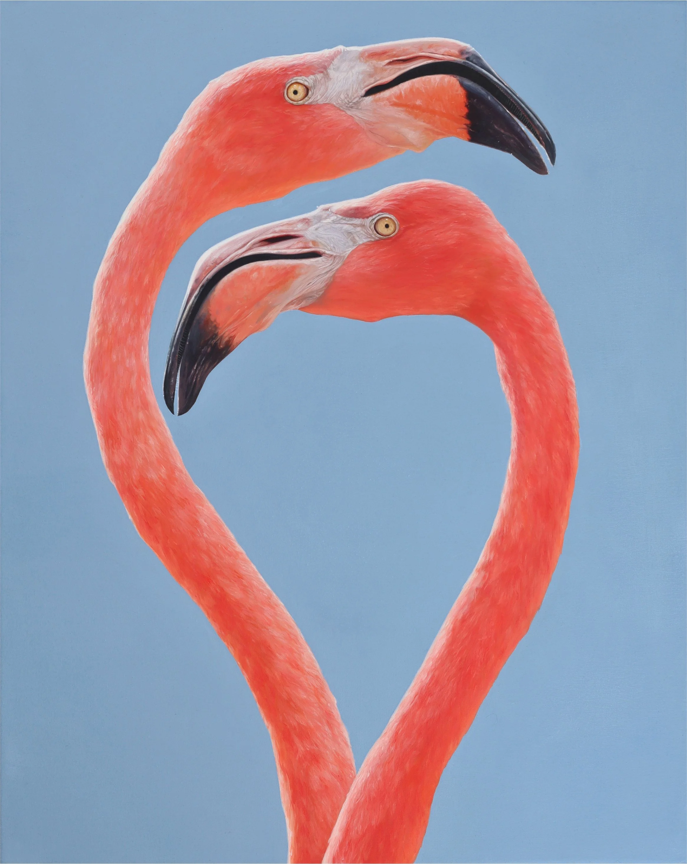 Two pink flamingos with their necks intertwined against a pale blue background.