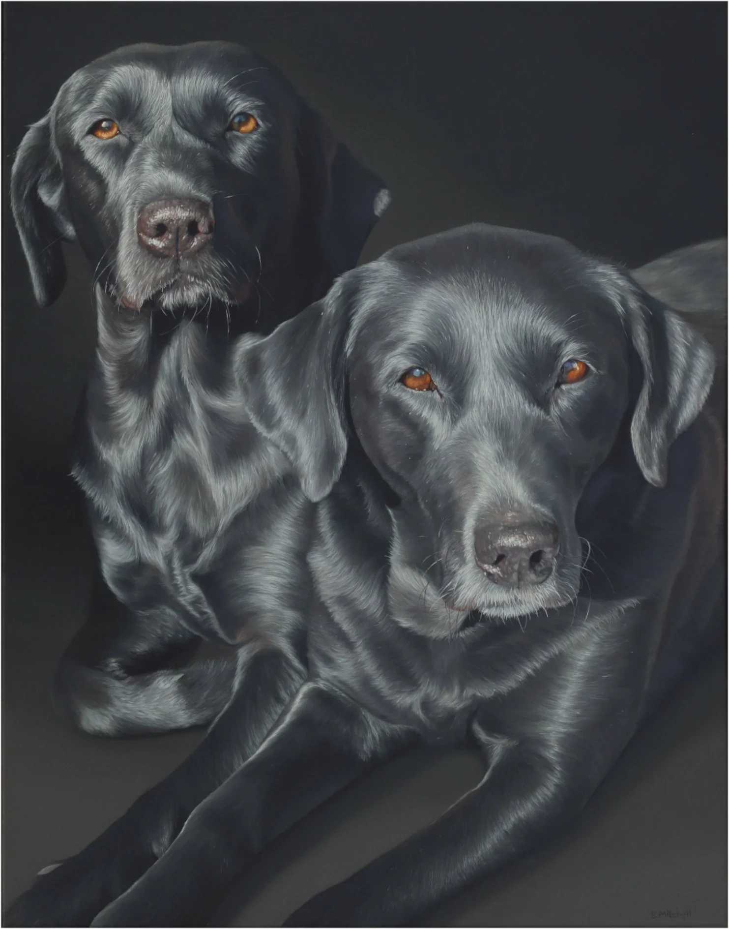 Realistic painting of two black and gray Labrador Retrievers lying on a black background, with one dog in the foreground and the other in the background.