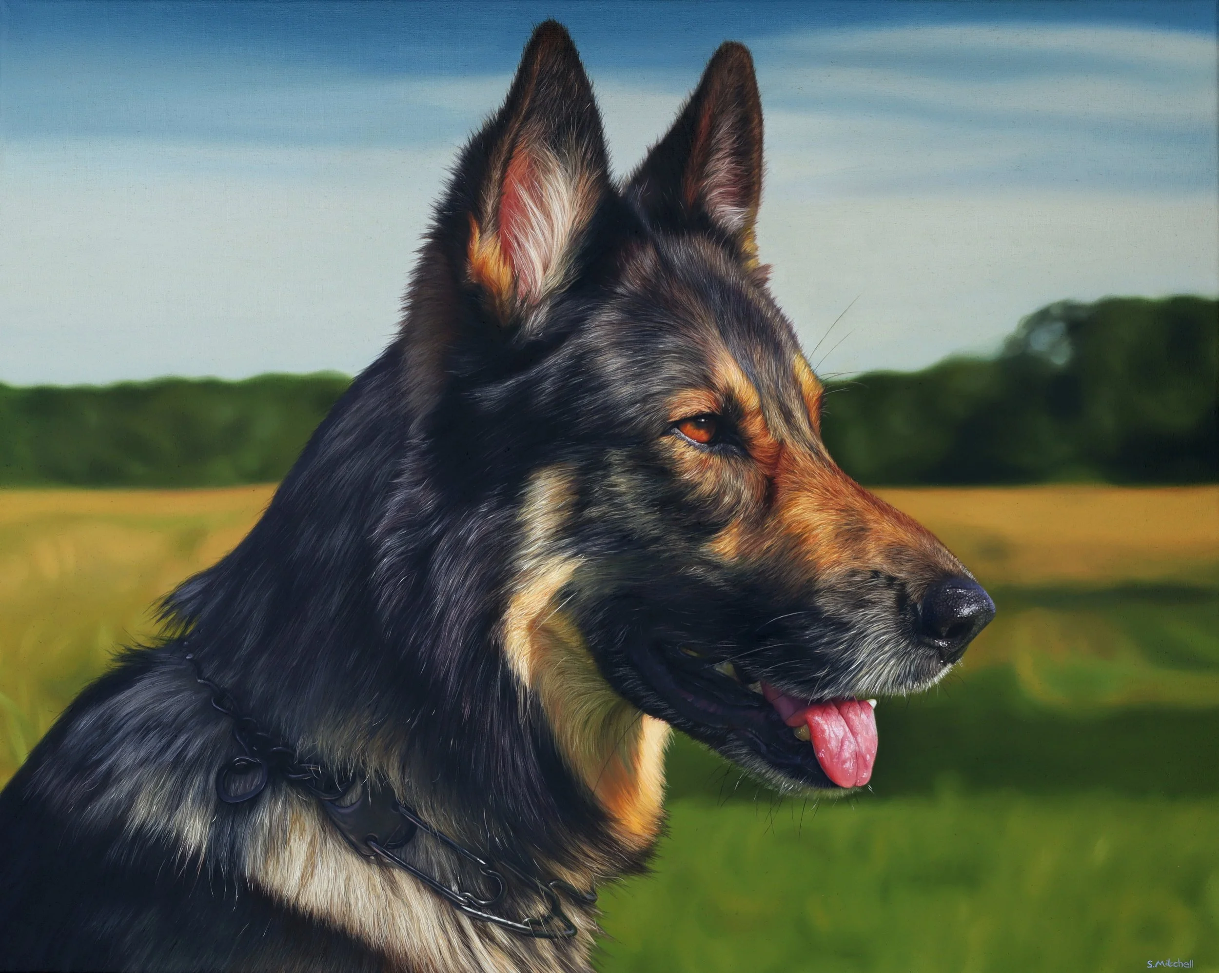 Close-up of a German Shepherd dog's head with its tongue out, outdoors with a blue sky and green landscape in the background.