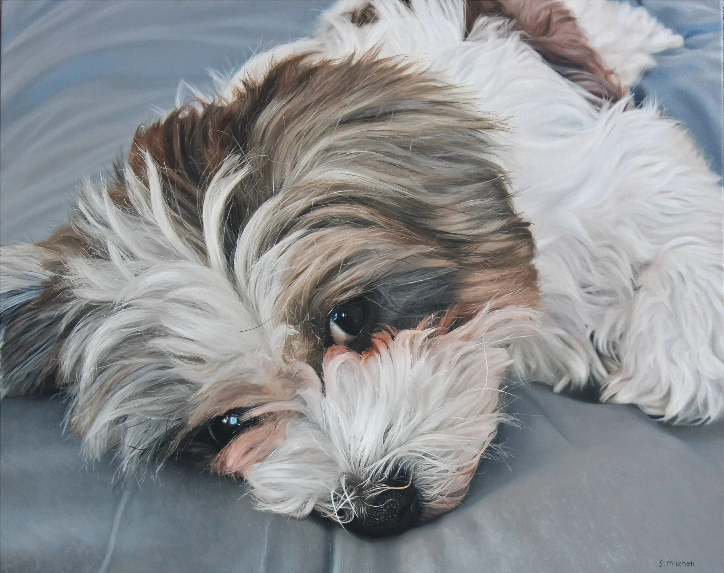 Close-up of a small dog with long, fluffy white and brown fur lying on a dark surface.