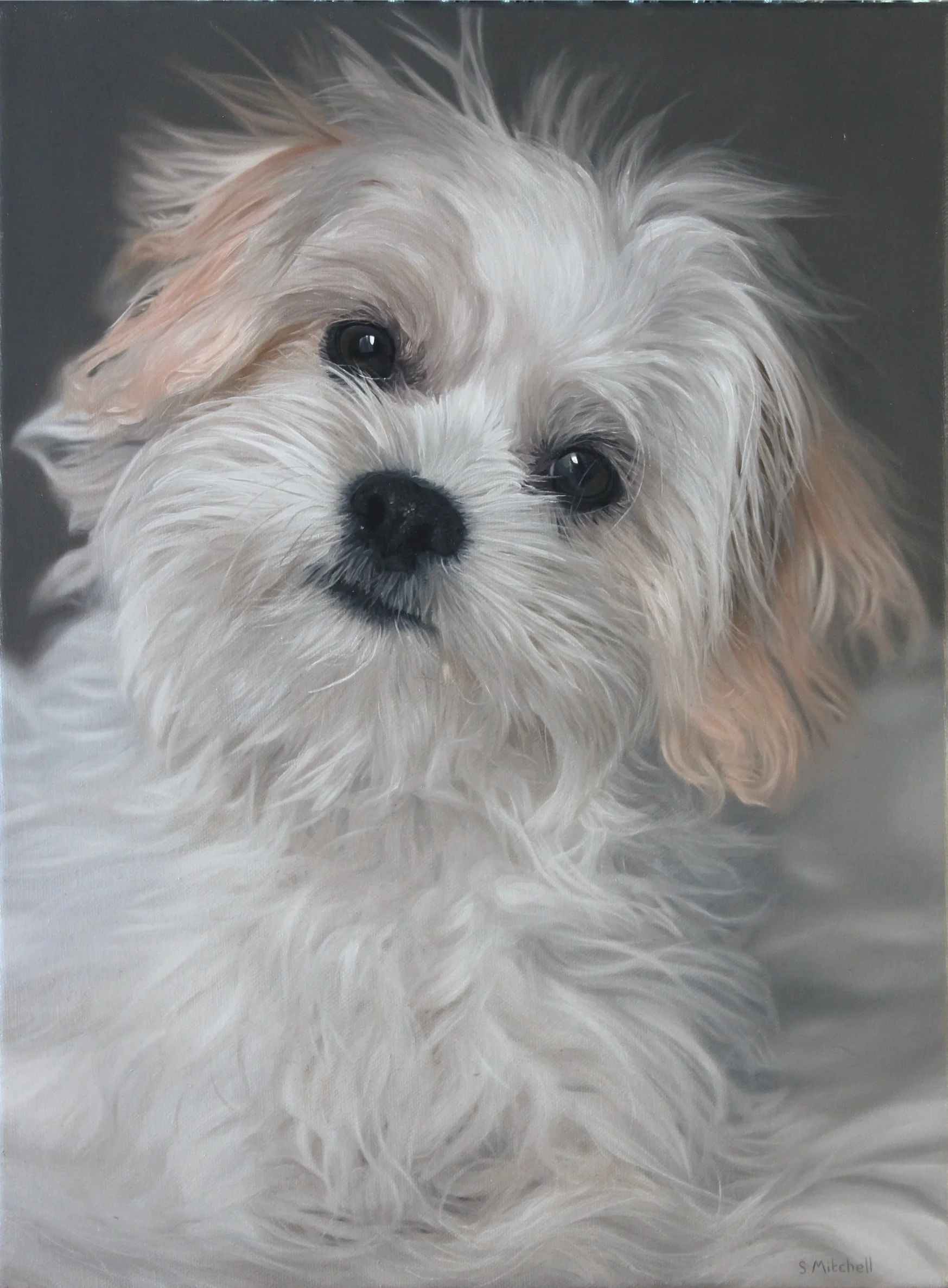 A portrait painting of a small white dog with fluffy fur and dark eyes, set against a gray background.
