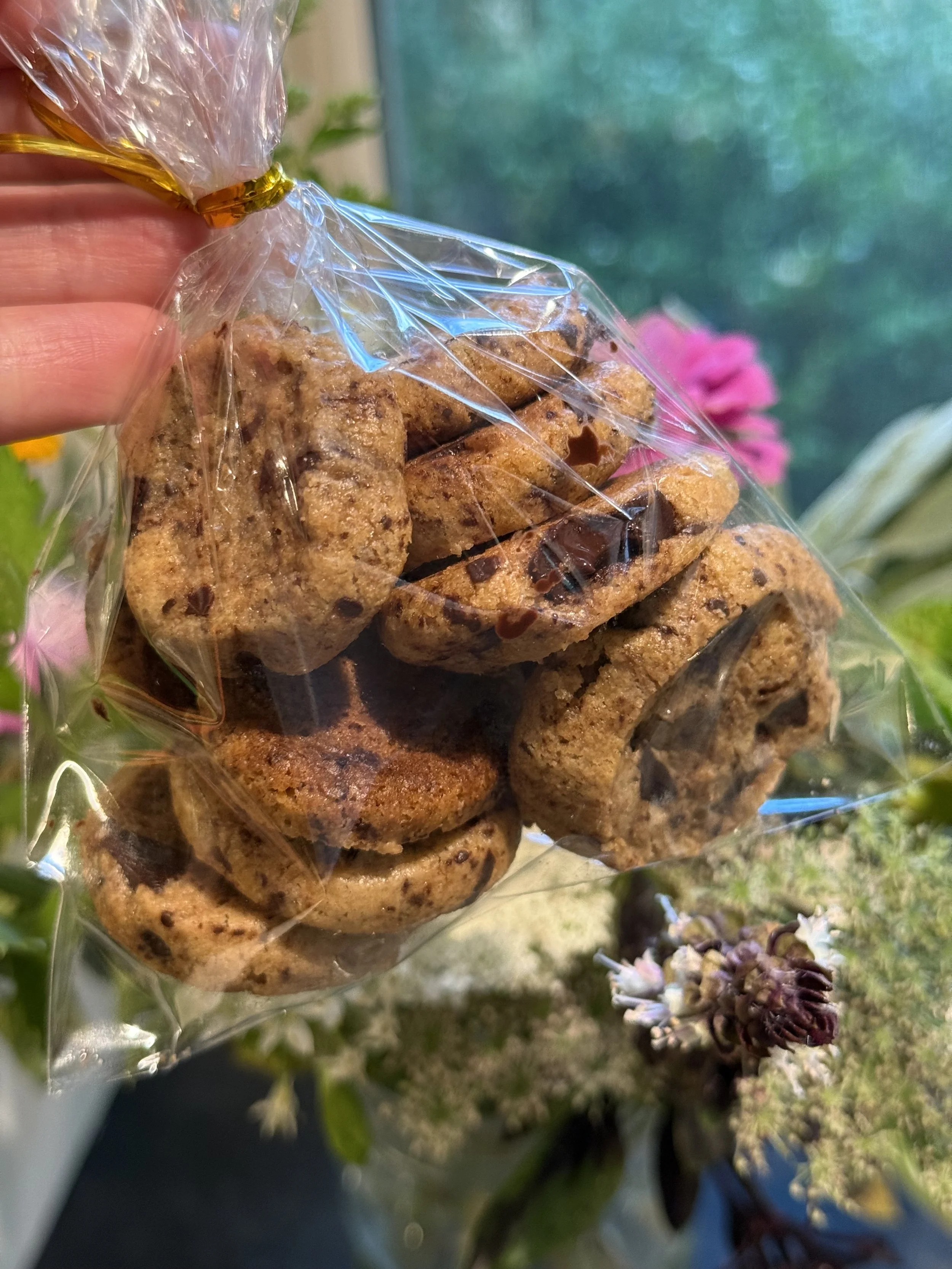 Close-up of a hand holding a clear plastic bag filled with chocolate chip cookies, with colorful flowers and greenery in the background.