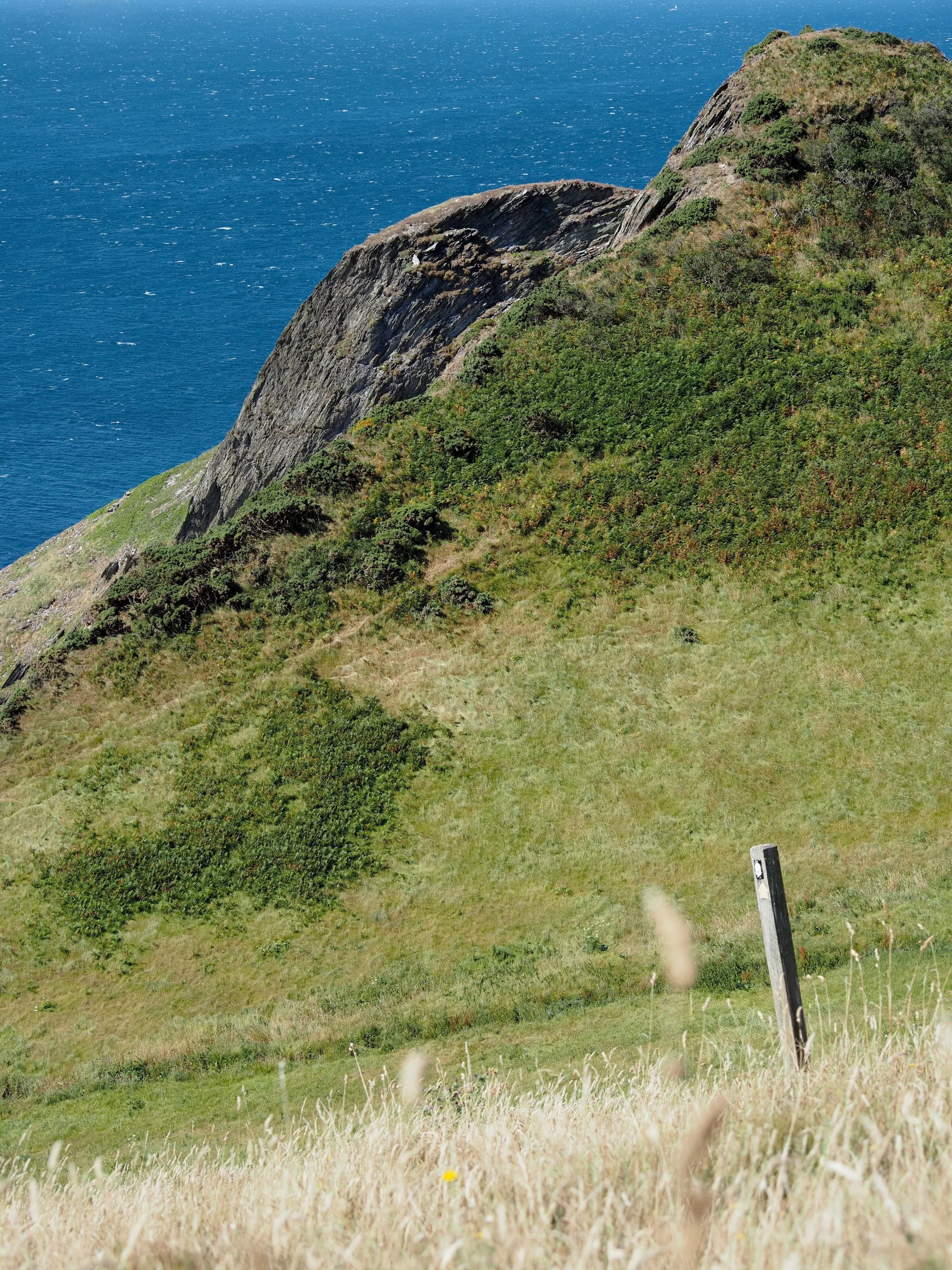 Rocky, shrub-covered coastal cliffs beside a deep blue ocean and windswept grassy meadow