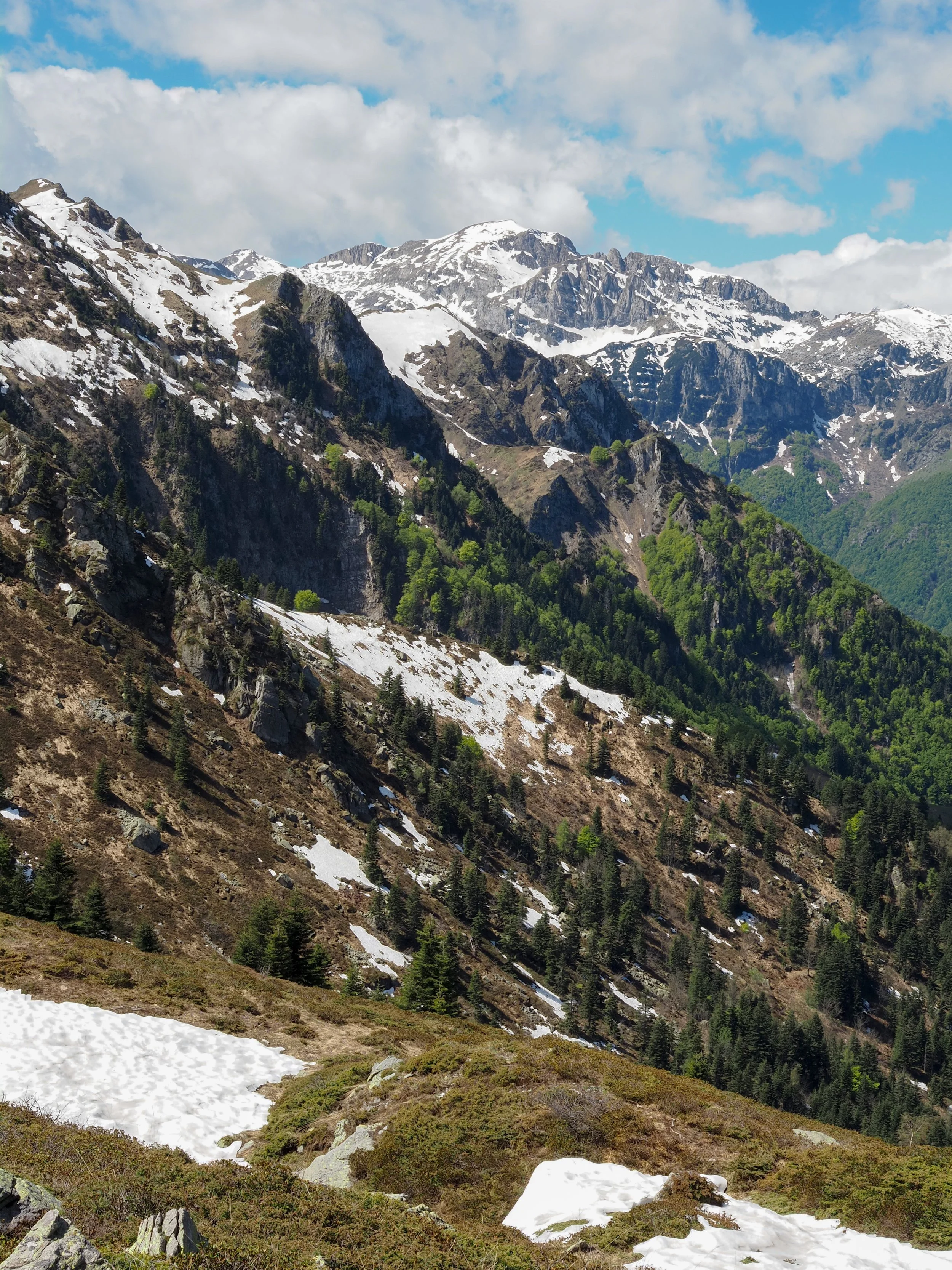 Snow-covered mountain range above a forested alpine valley beneath a partly cloudy blue sky