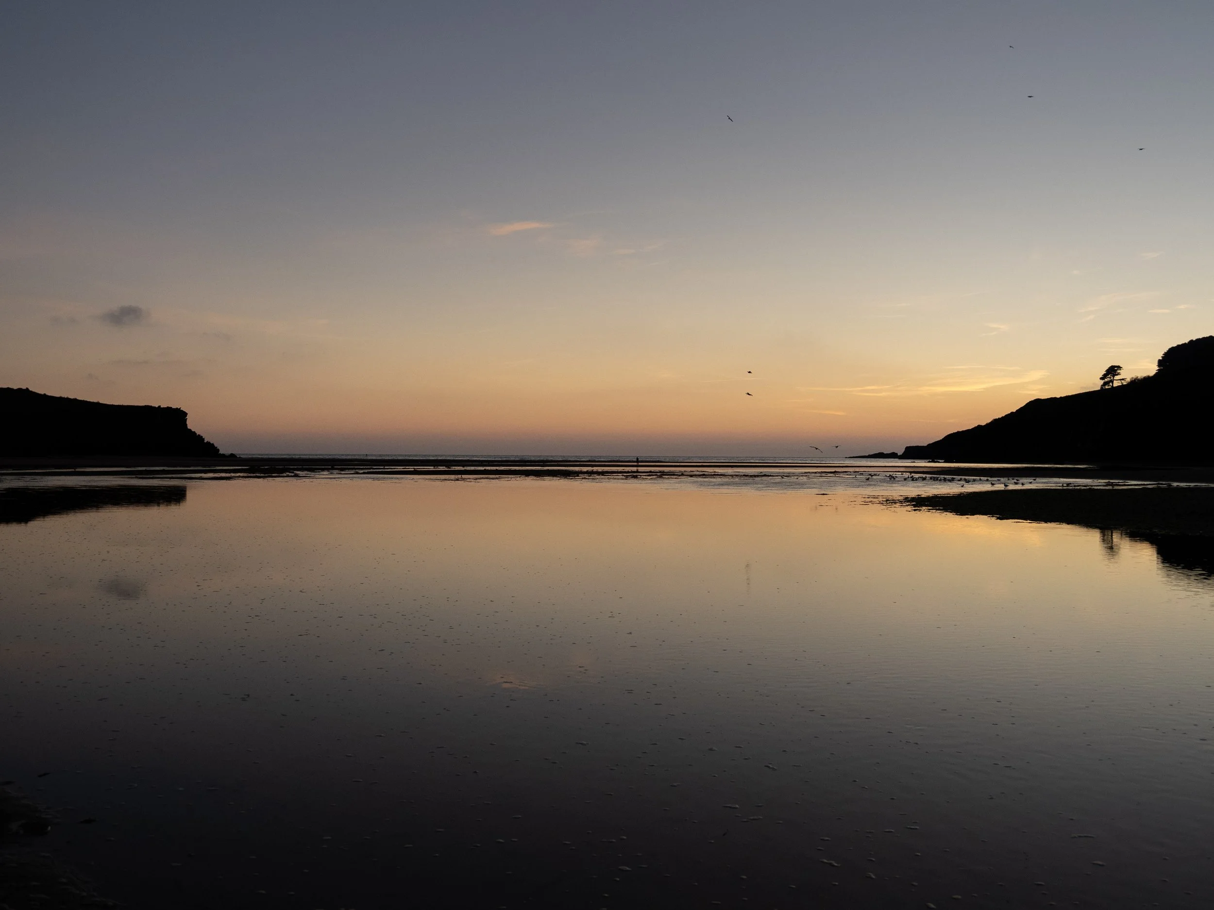 Sunset over a coastal beach with silhouetted cliffs, shallow reflective water, and flying seabirds
