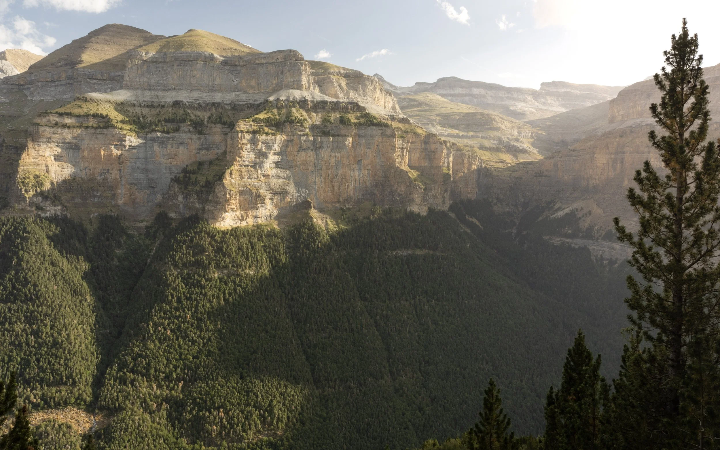Panoramic view of towering layered mountain cliffs above a densely forested valley, illuminated by warm sunlight.