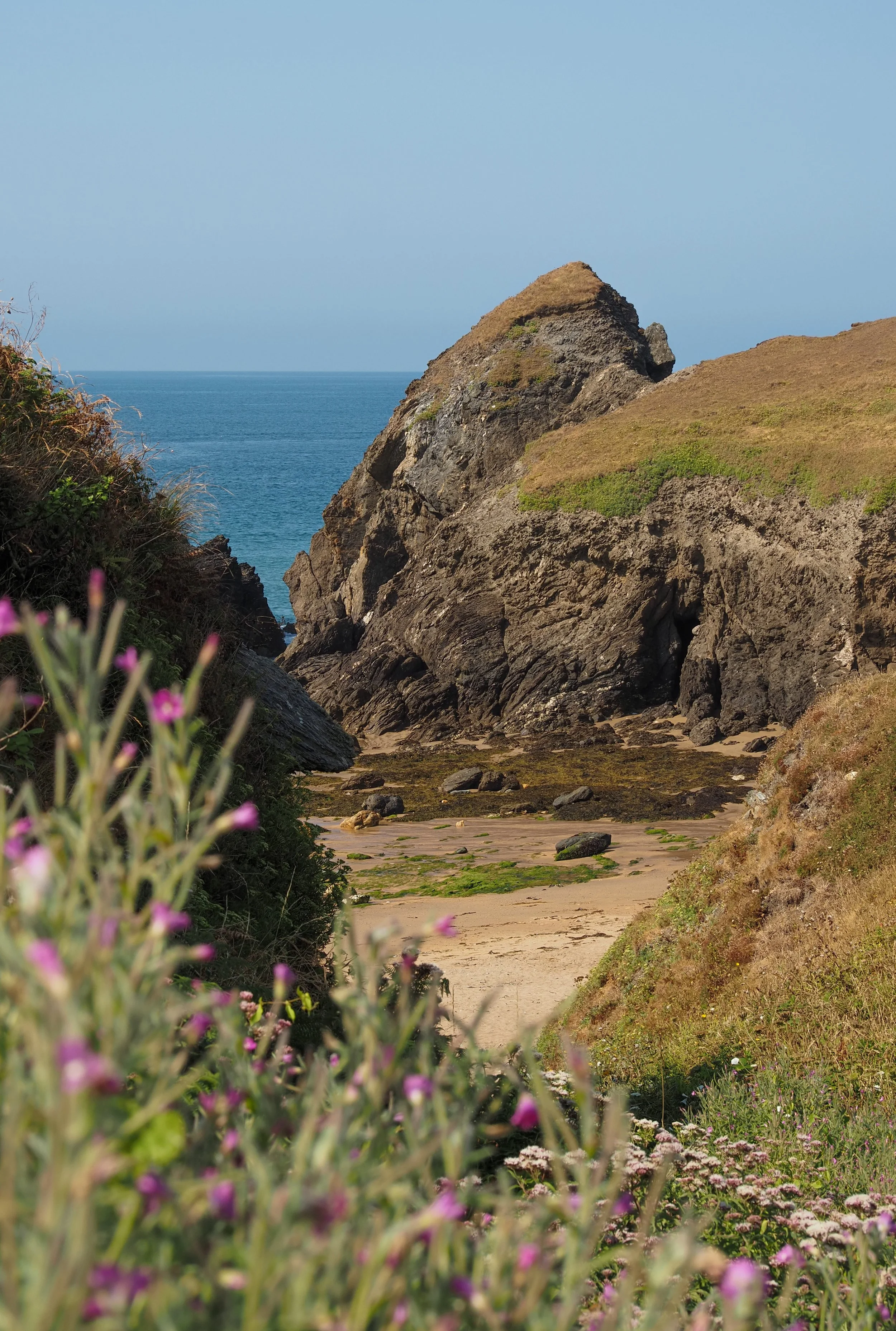 Rocky coastal cove with grassy cliffs, ocean, sandy beach, and wildflowers under a clear blue sky