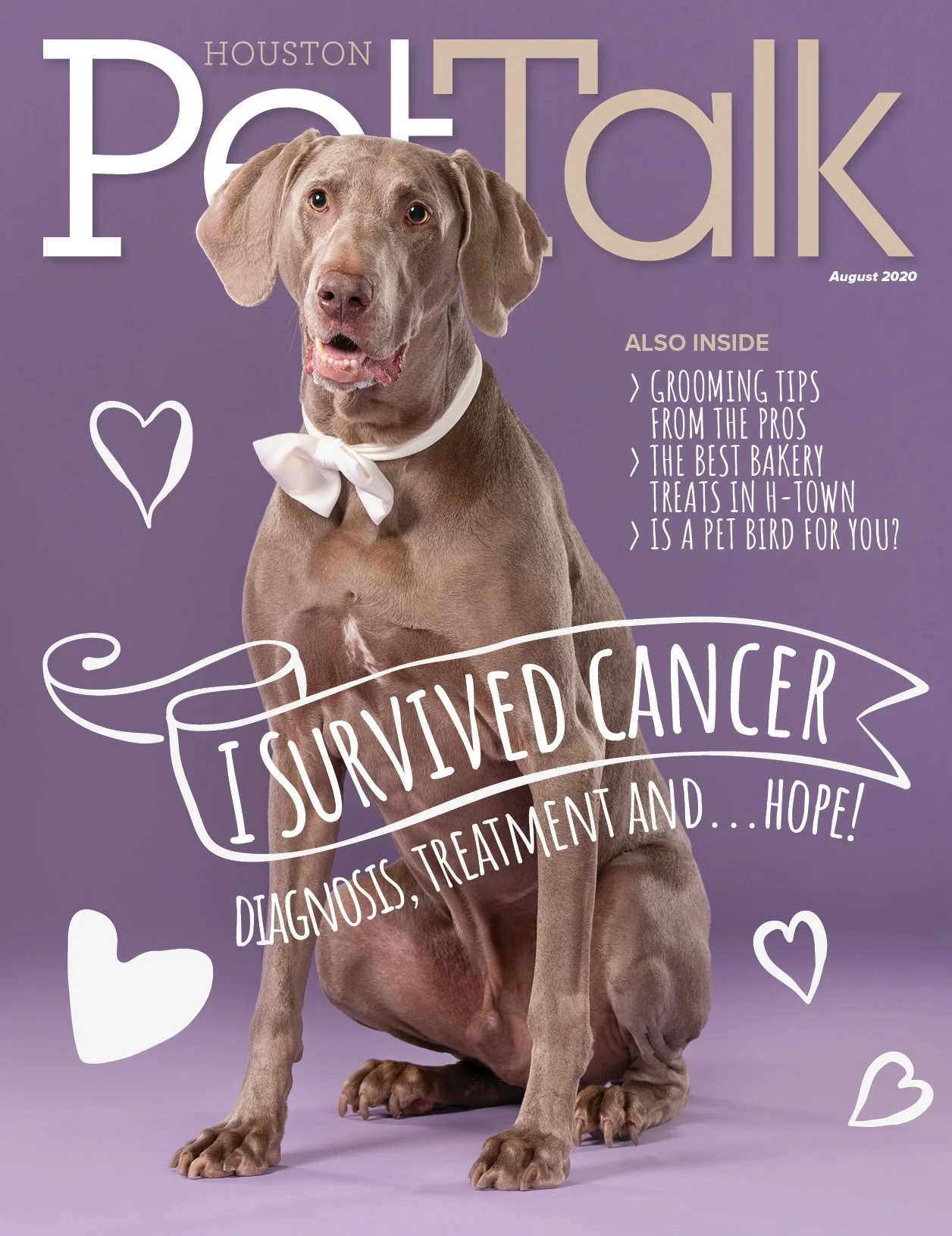 PetTalk-160-August-2020-Cover.jpg