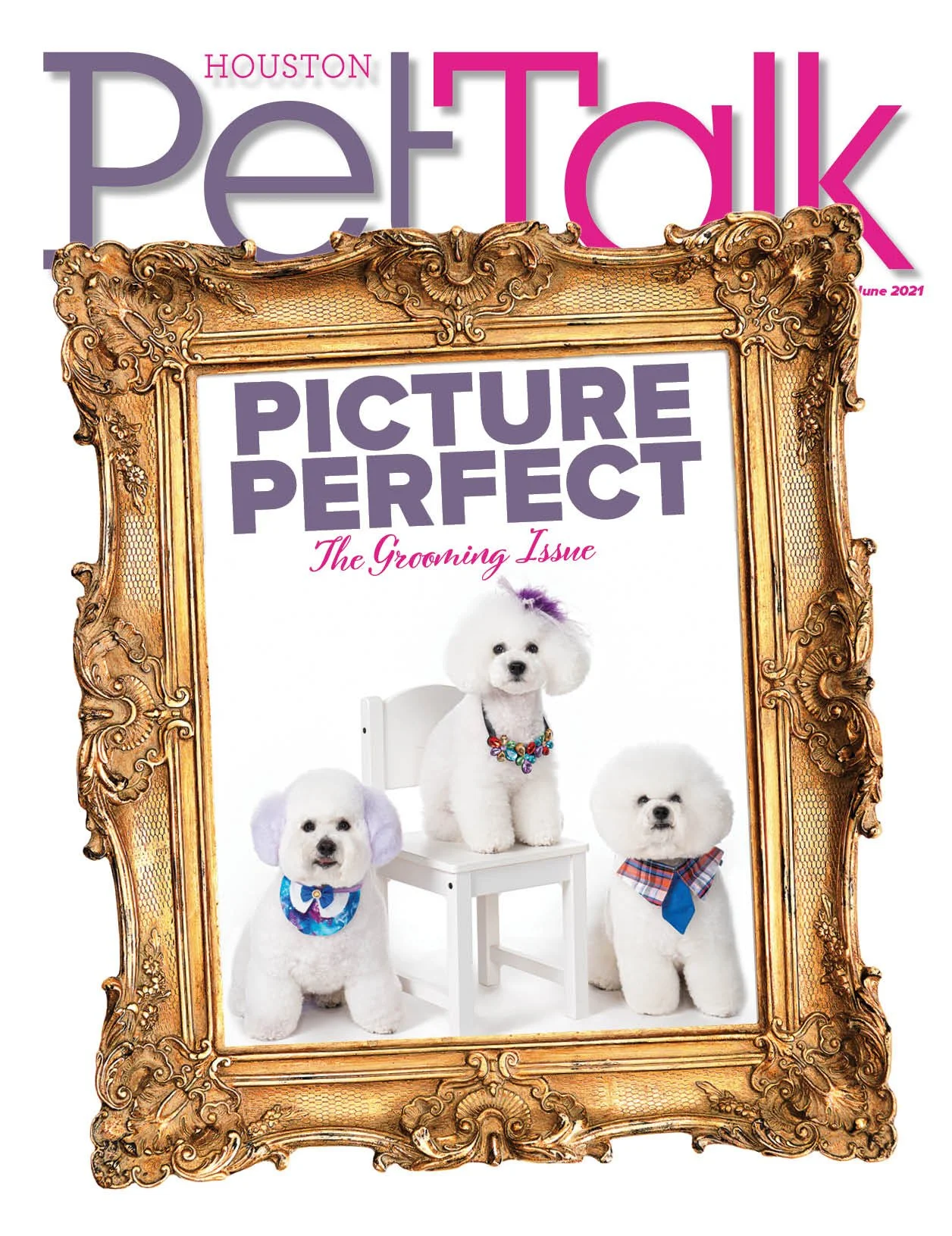 PetTalk-170-June-2021-Cover.jpg
