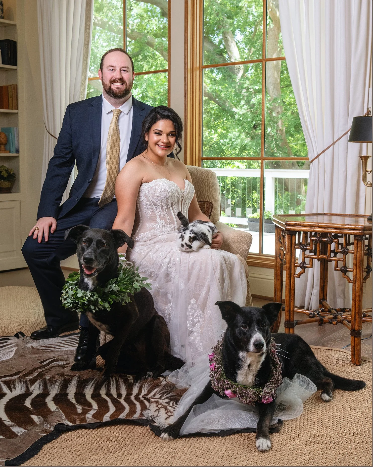 A wedding couple posed indoors with their black and white dogs, with a large window and green trees outside in the background.