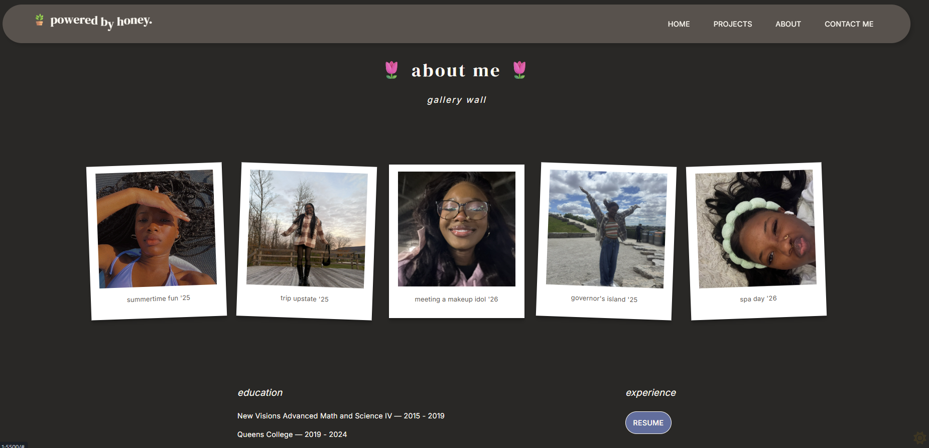 darkmode-aboutme-section.png