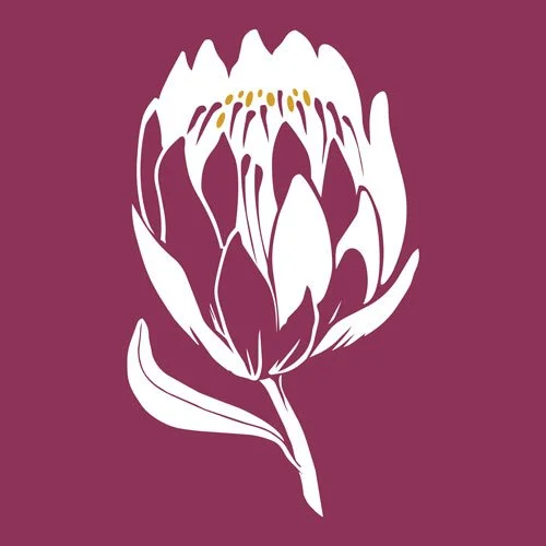 Illustration of a large pink flower with white petals and yellow accents on a dark pink background.