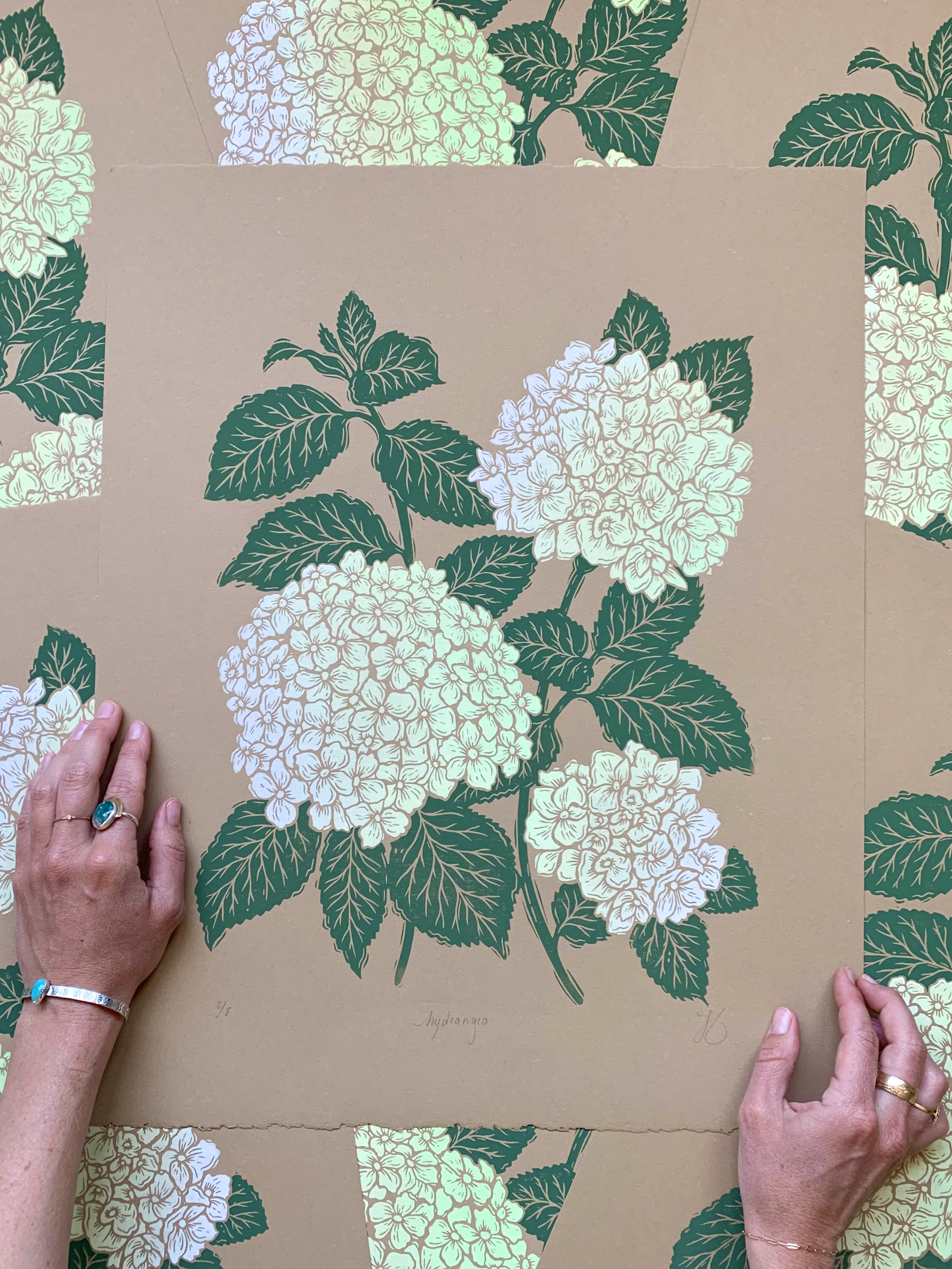 Lemon Lime Hydrangeas
