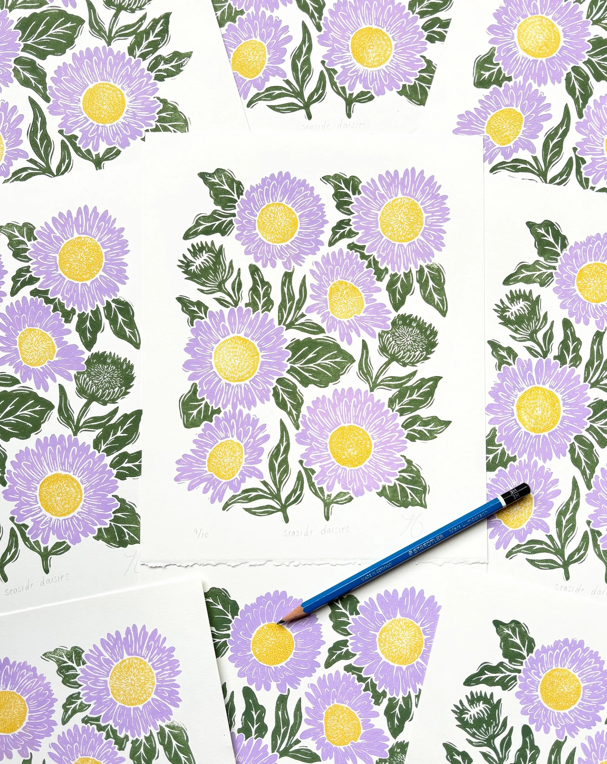 1_Seaside Daisy Brighter.jpg
