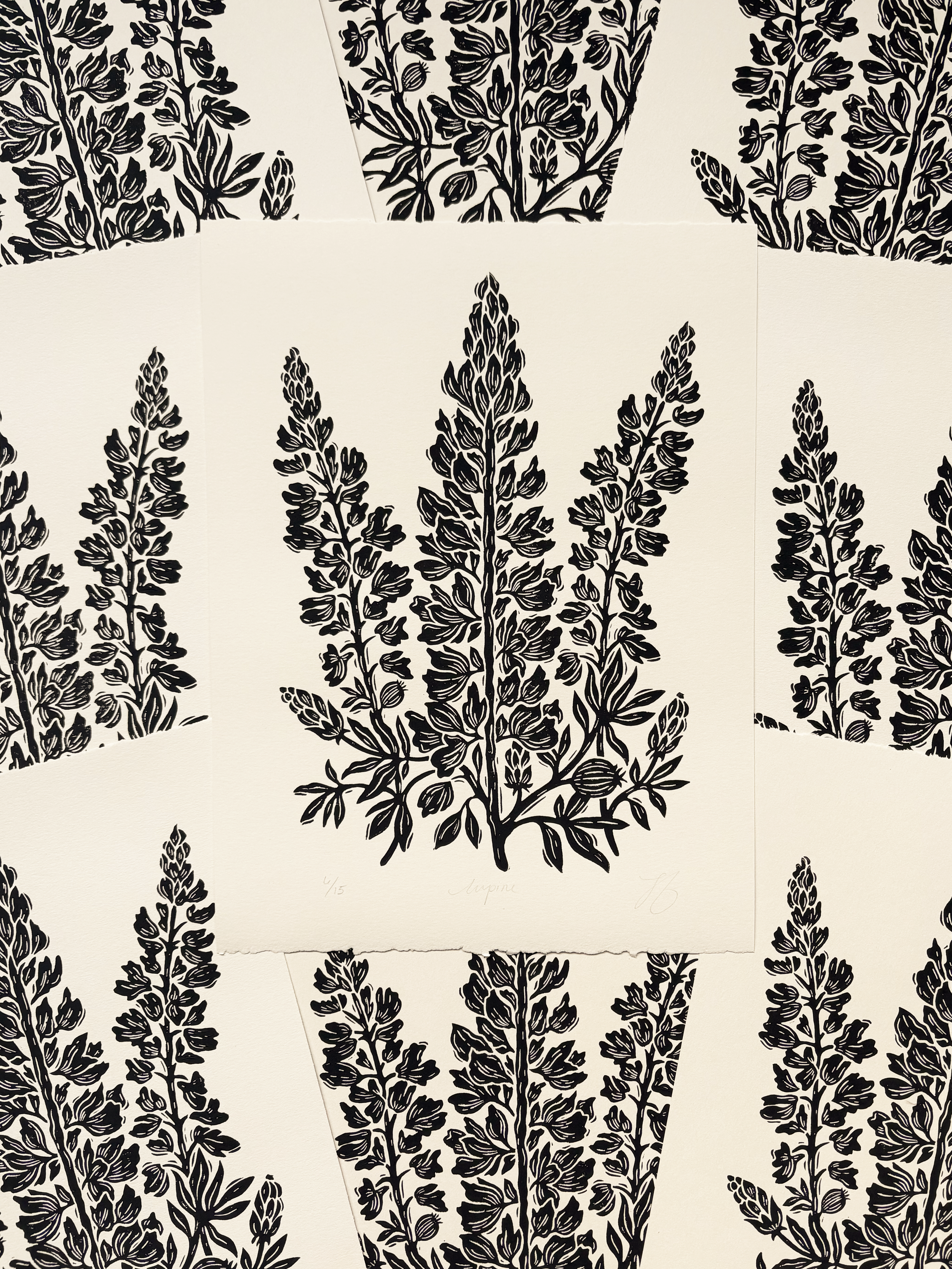 Lupine Tonal